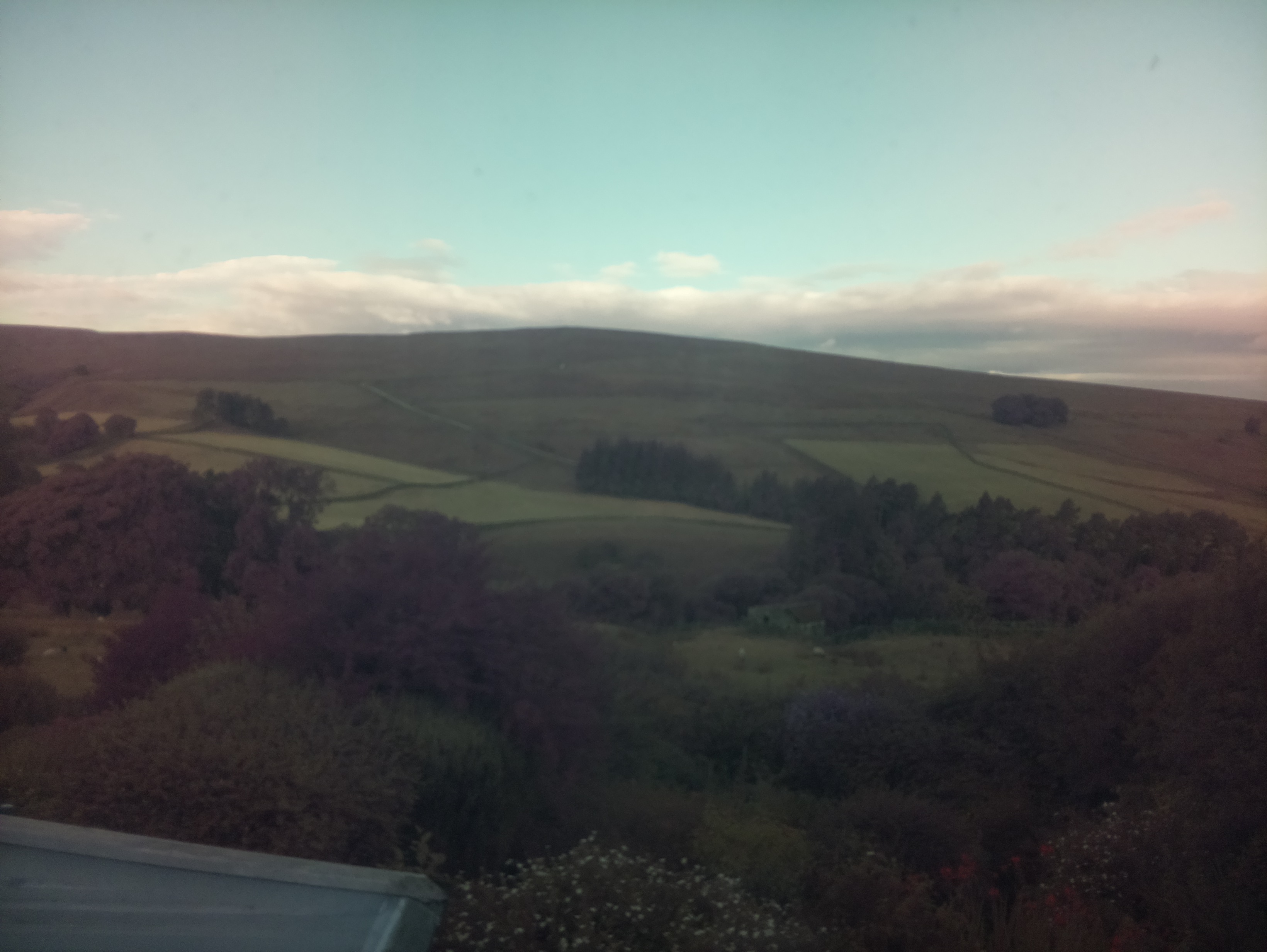 raspi webcam photo