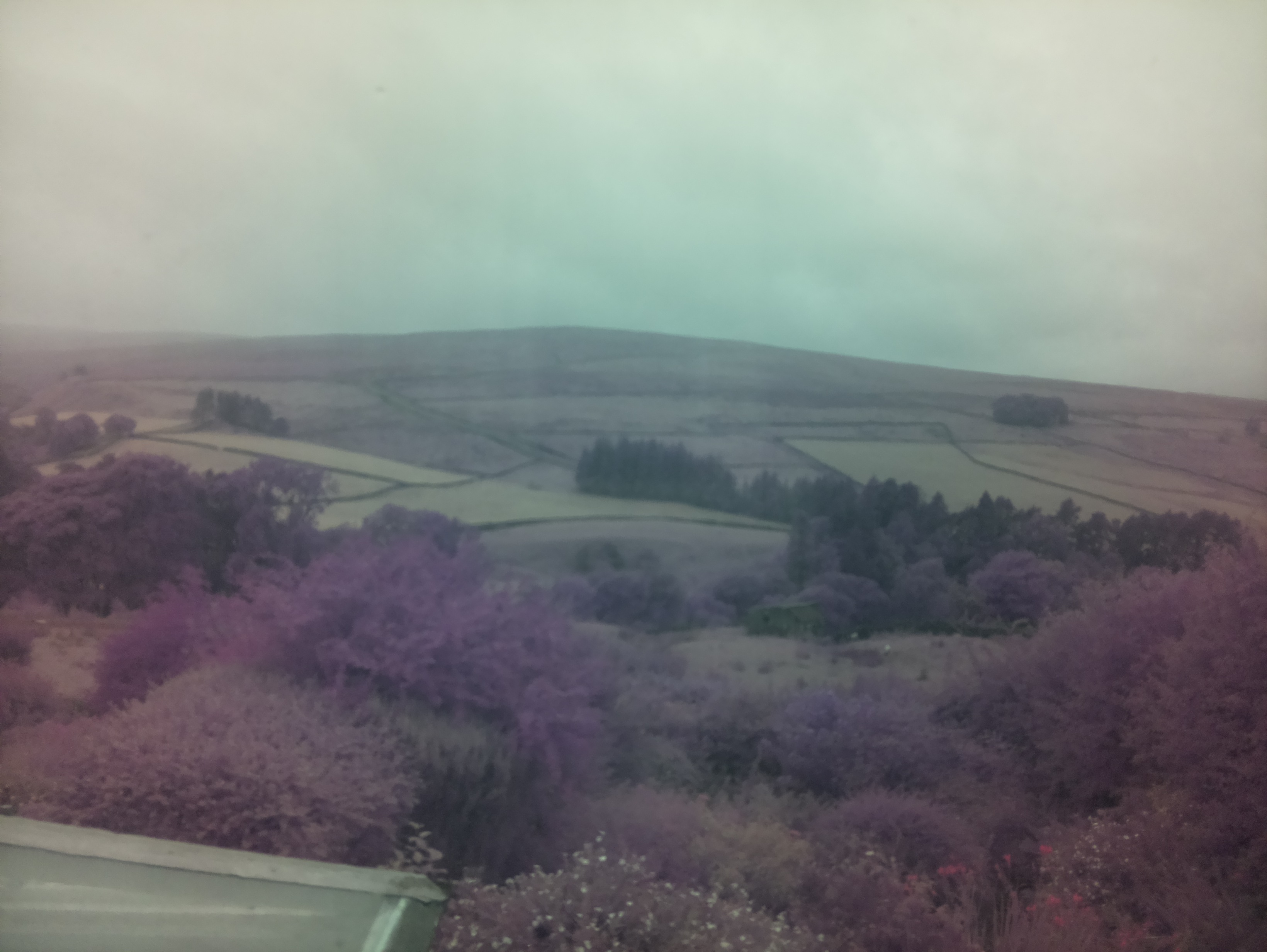 raspi webcam photo