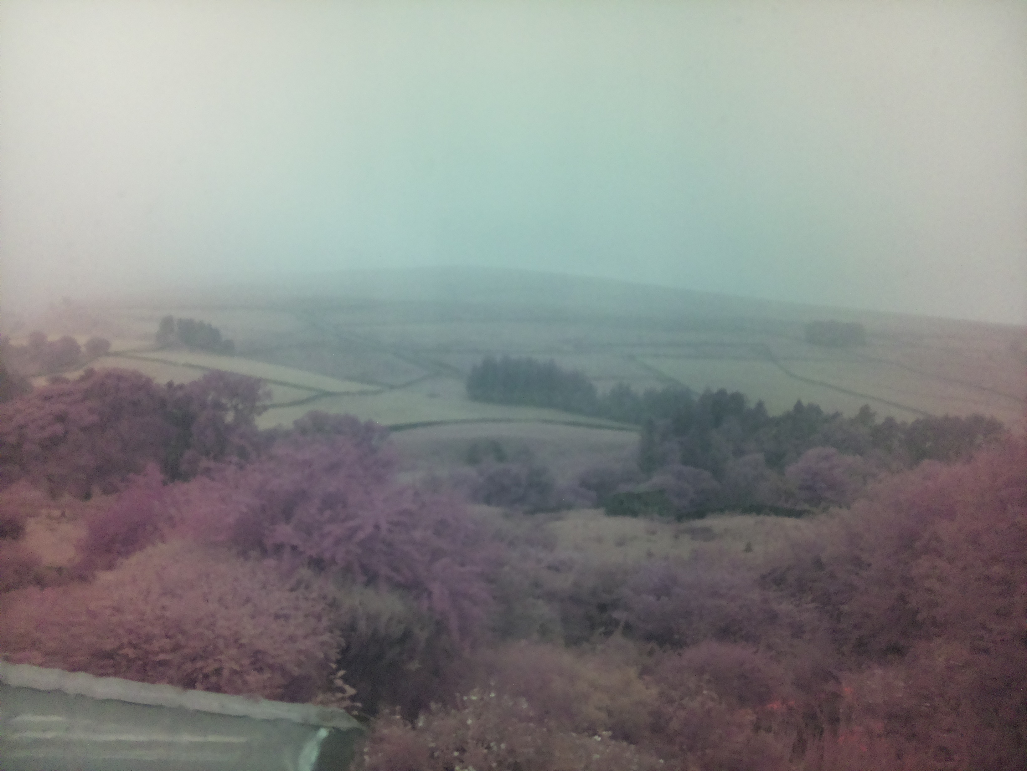 raspi webcam photo