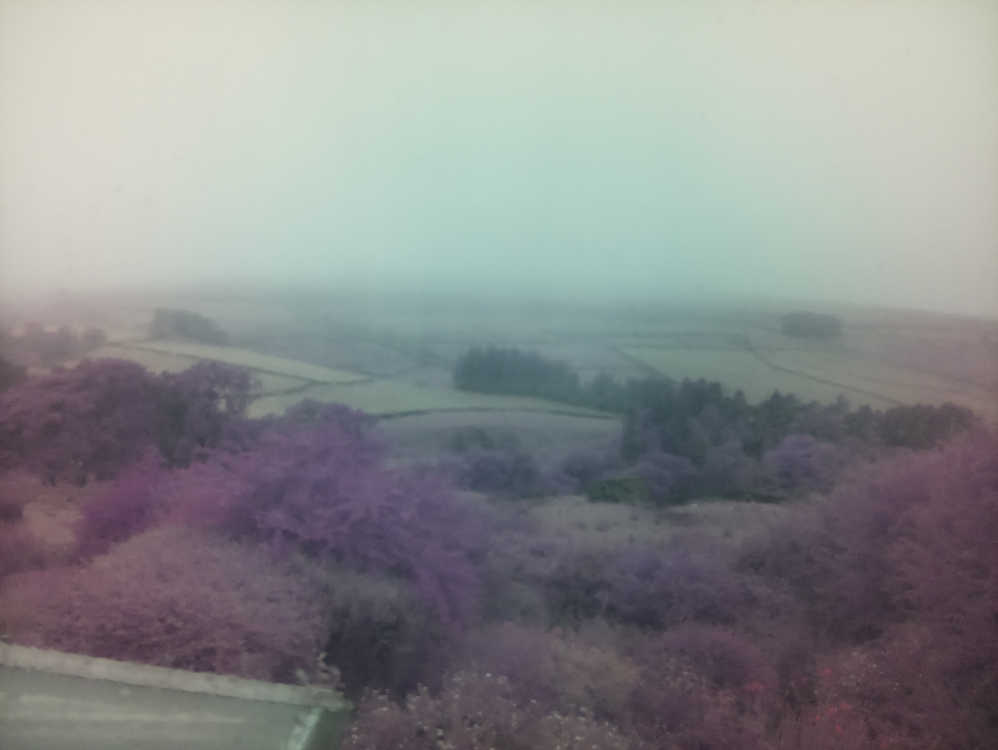 raspi webcam photo