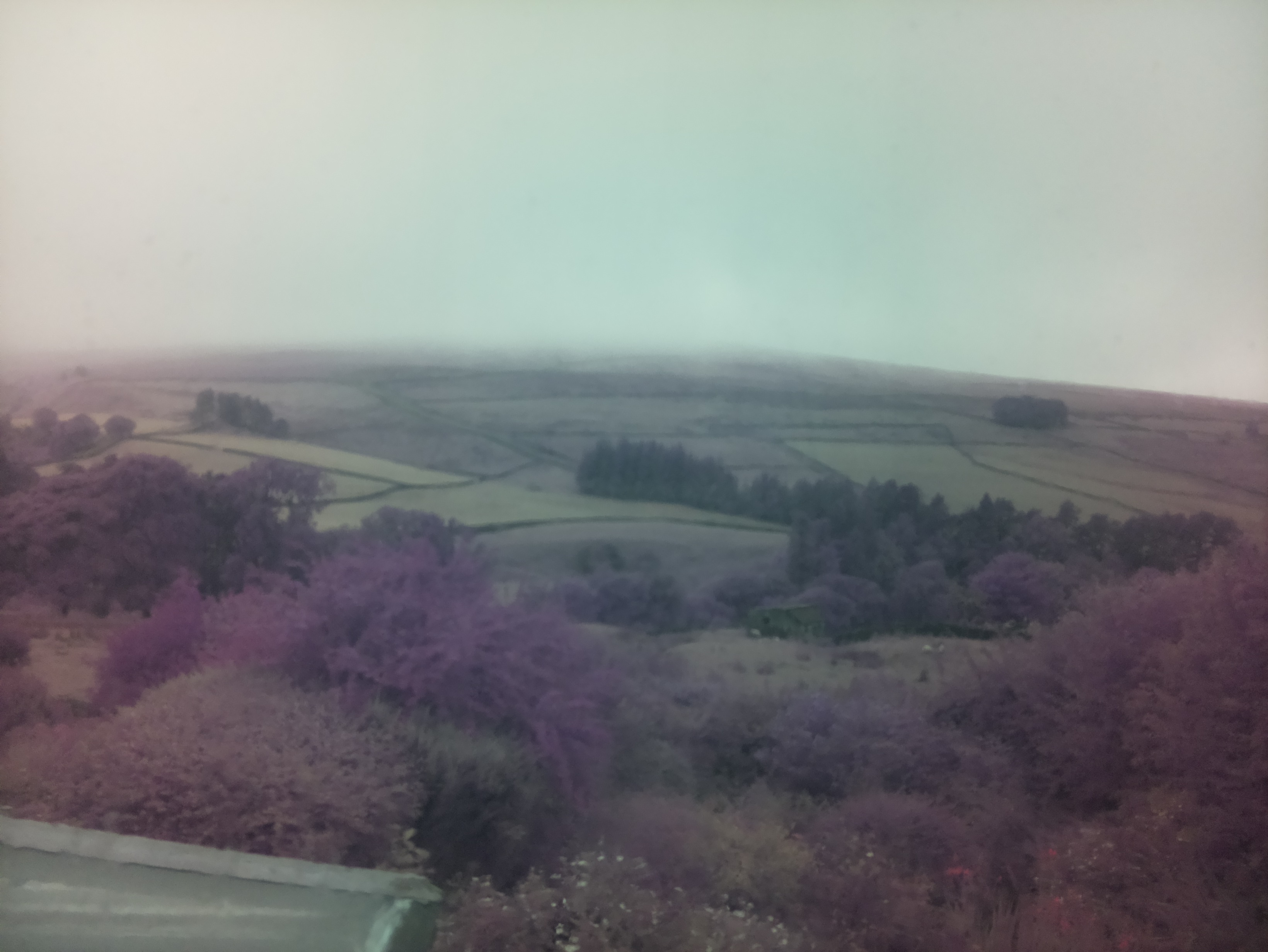 raspi webcam photo