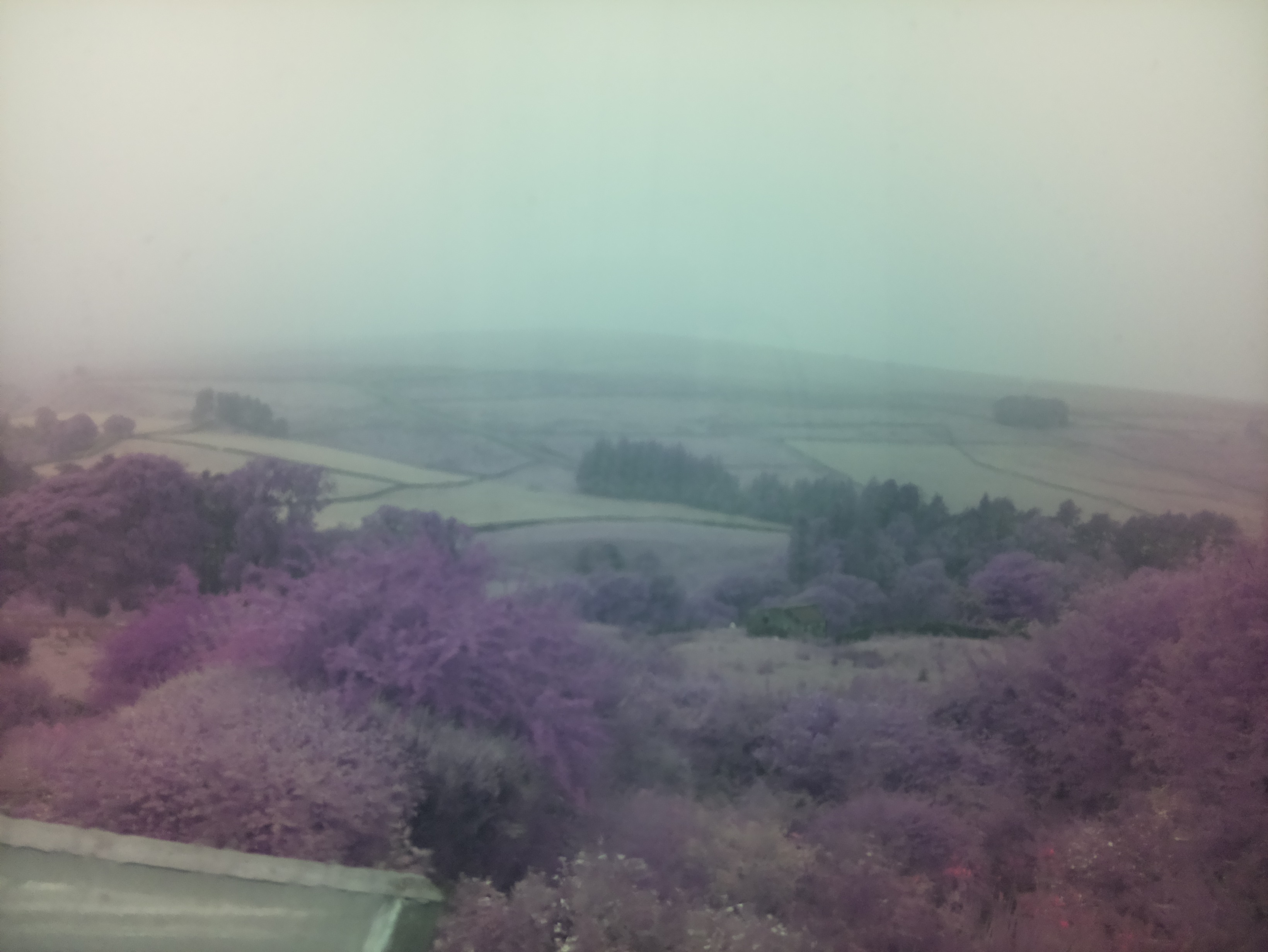 raspi webcam photo