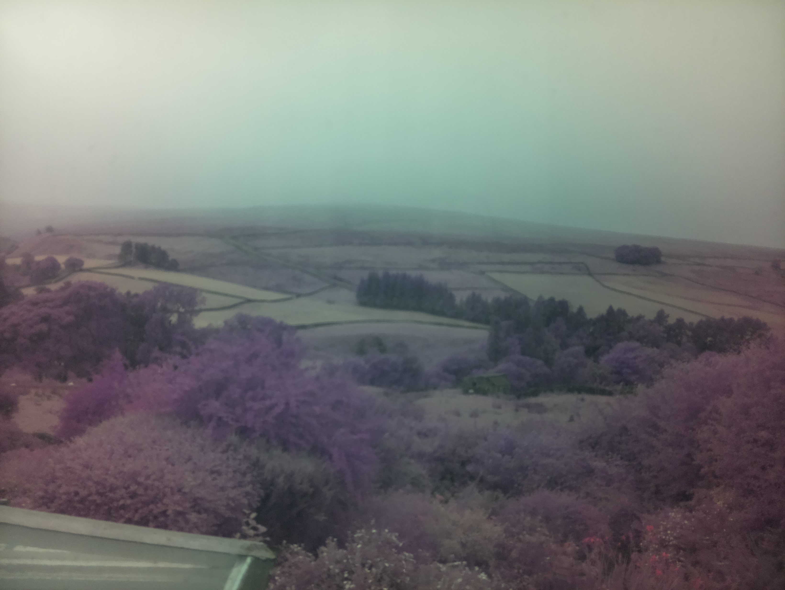 raspi webcam photo