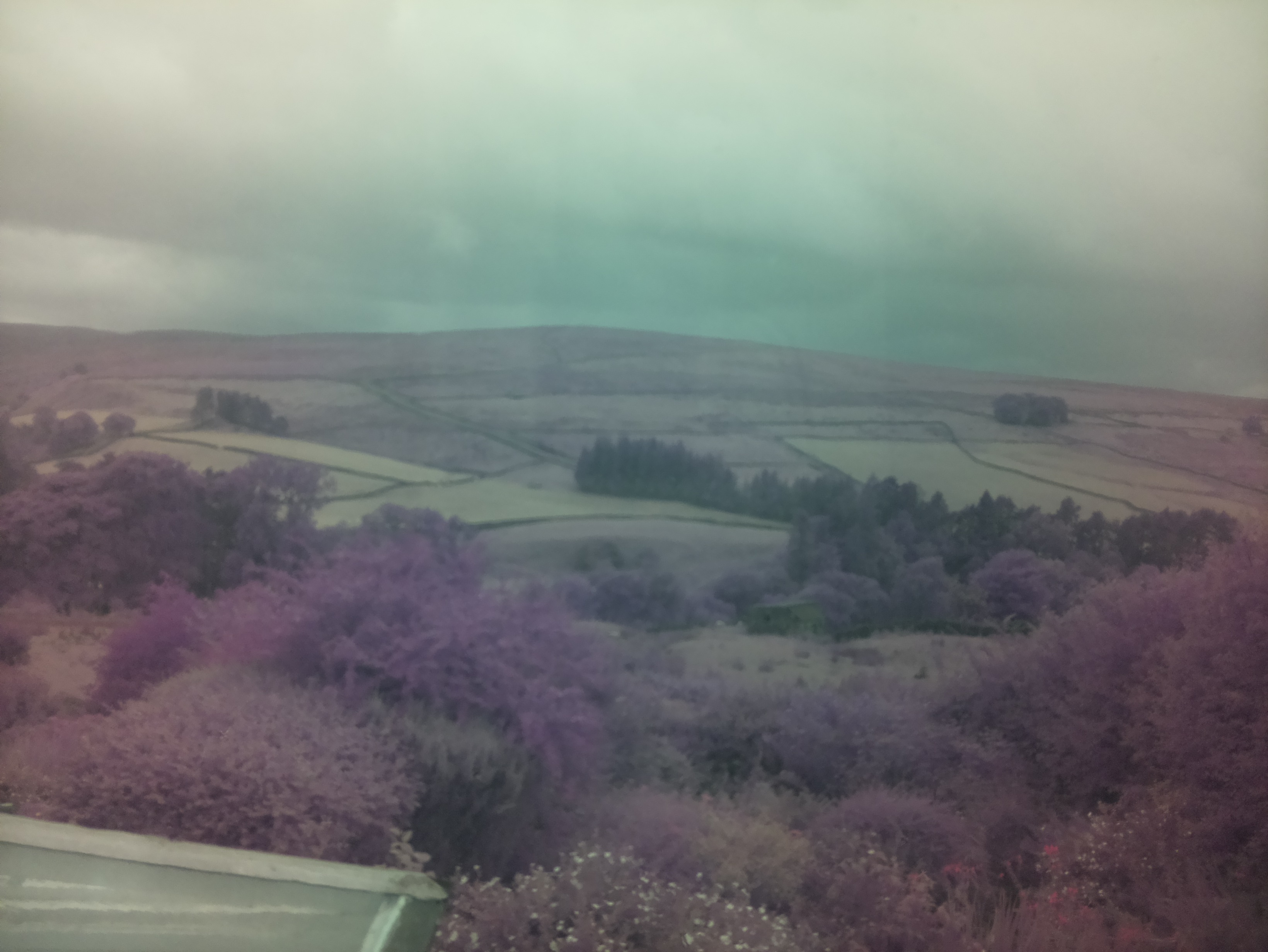 raspi webcam photo
