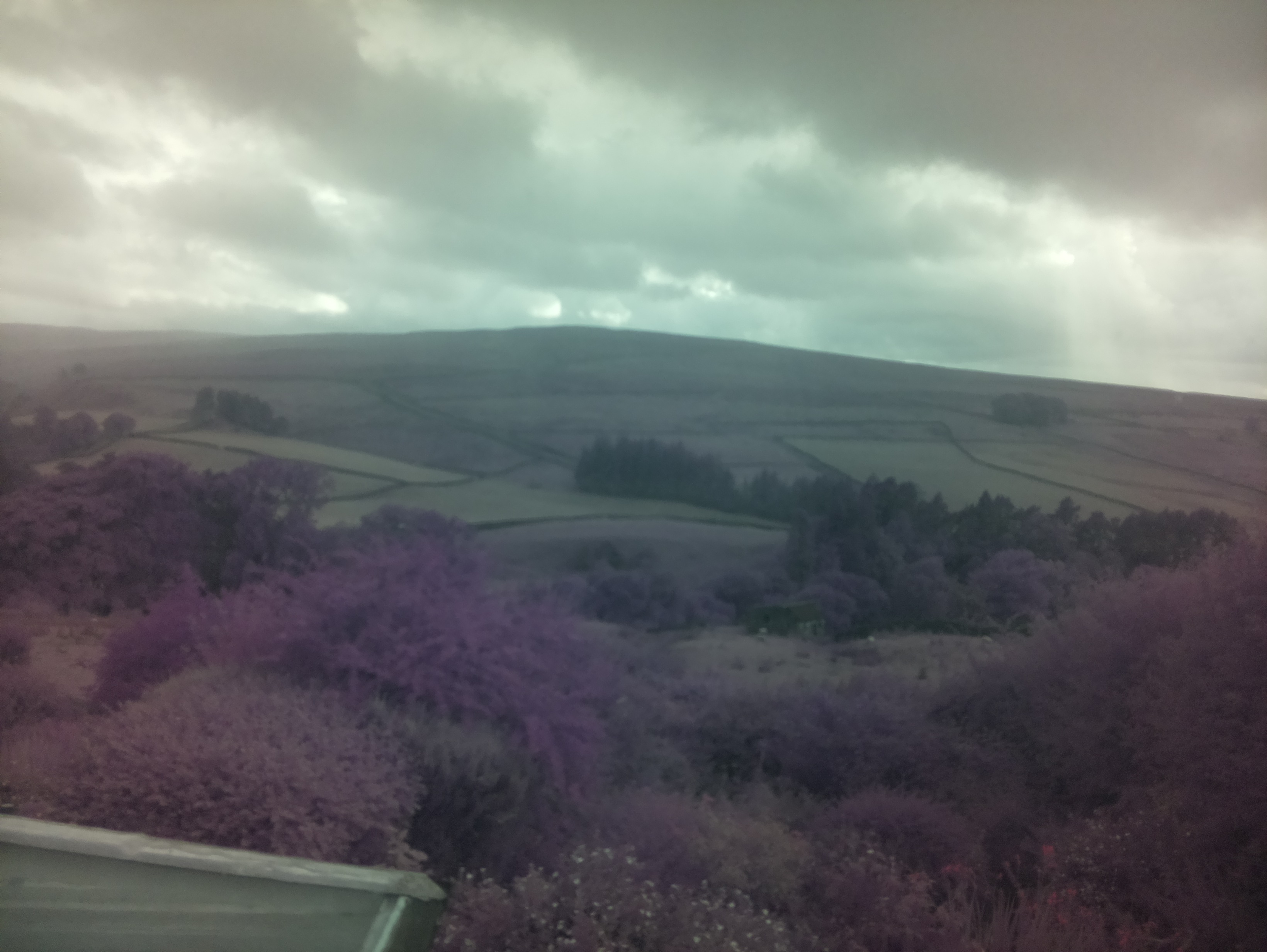 raspi webcam photo