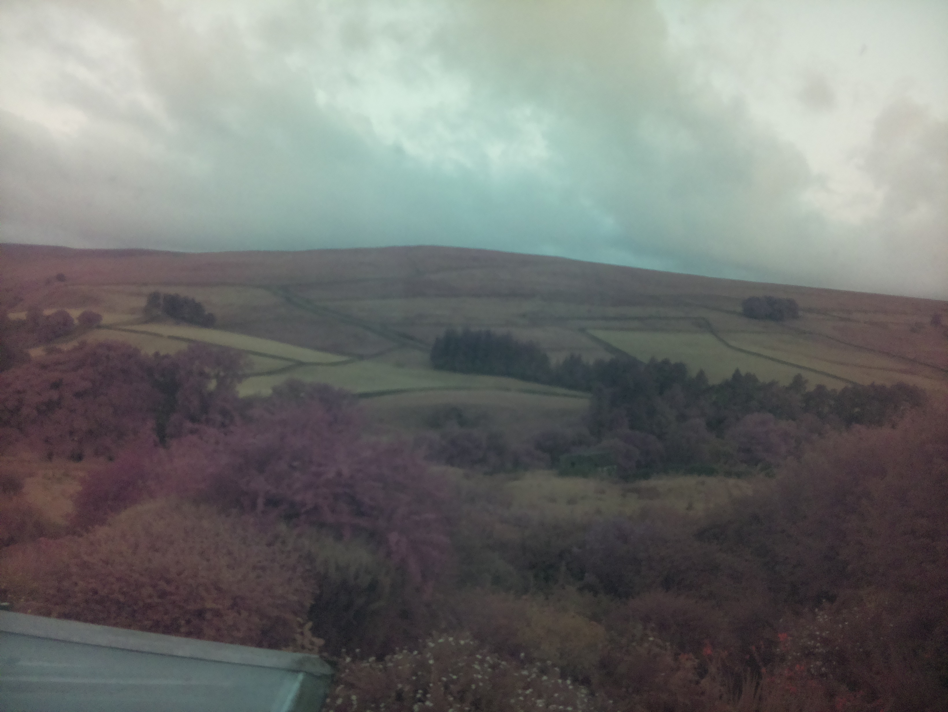 raspi webcam photo
