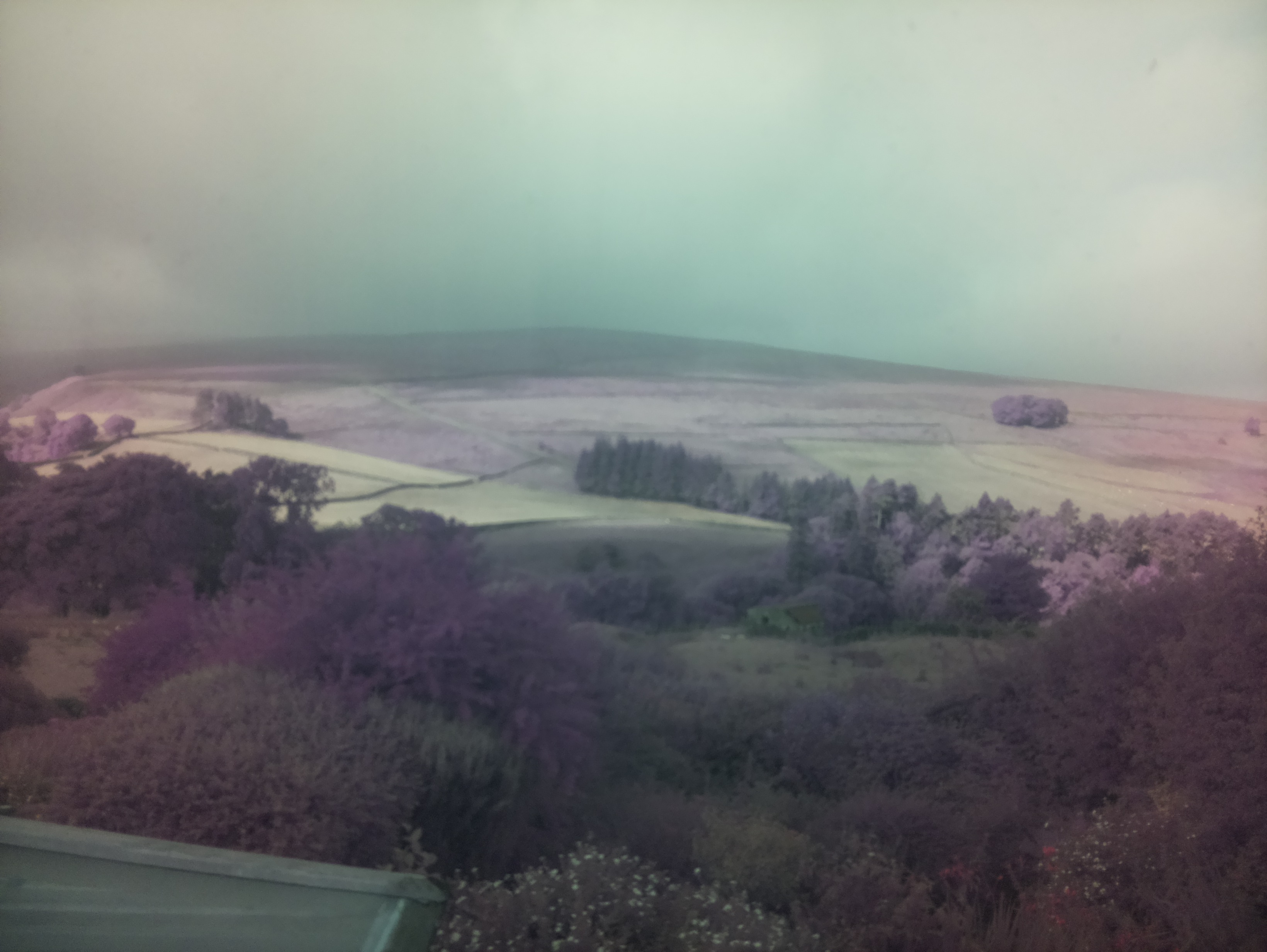 raspi webcam photo
