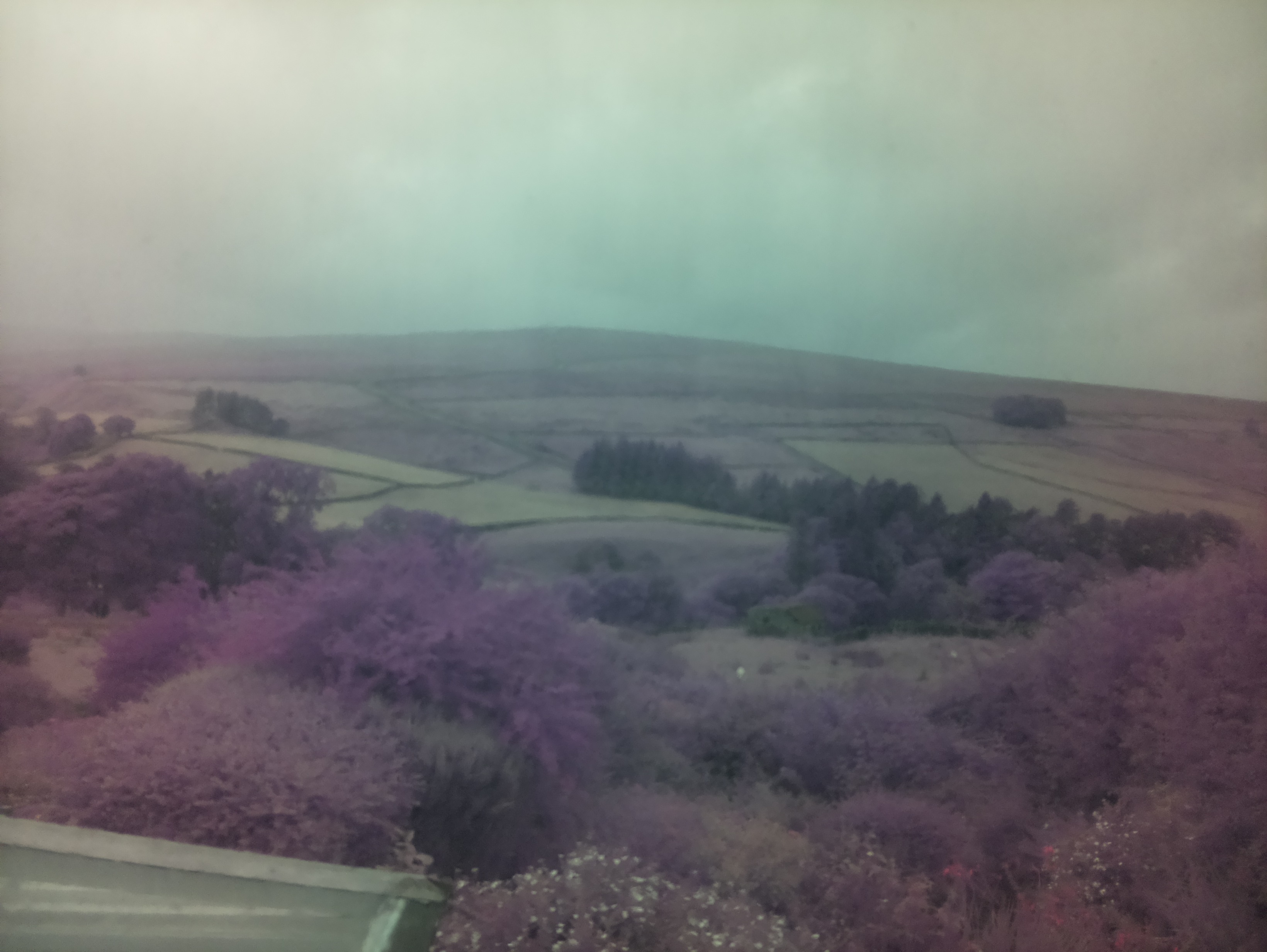 raspi webcam photo