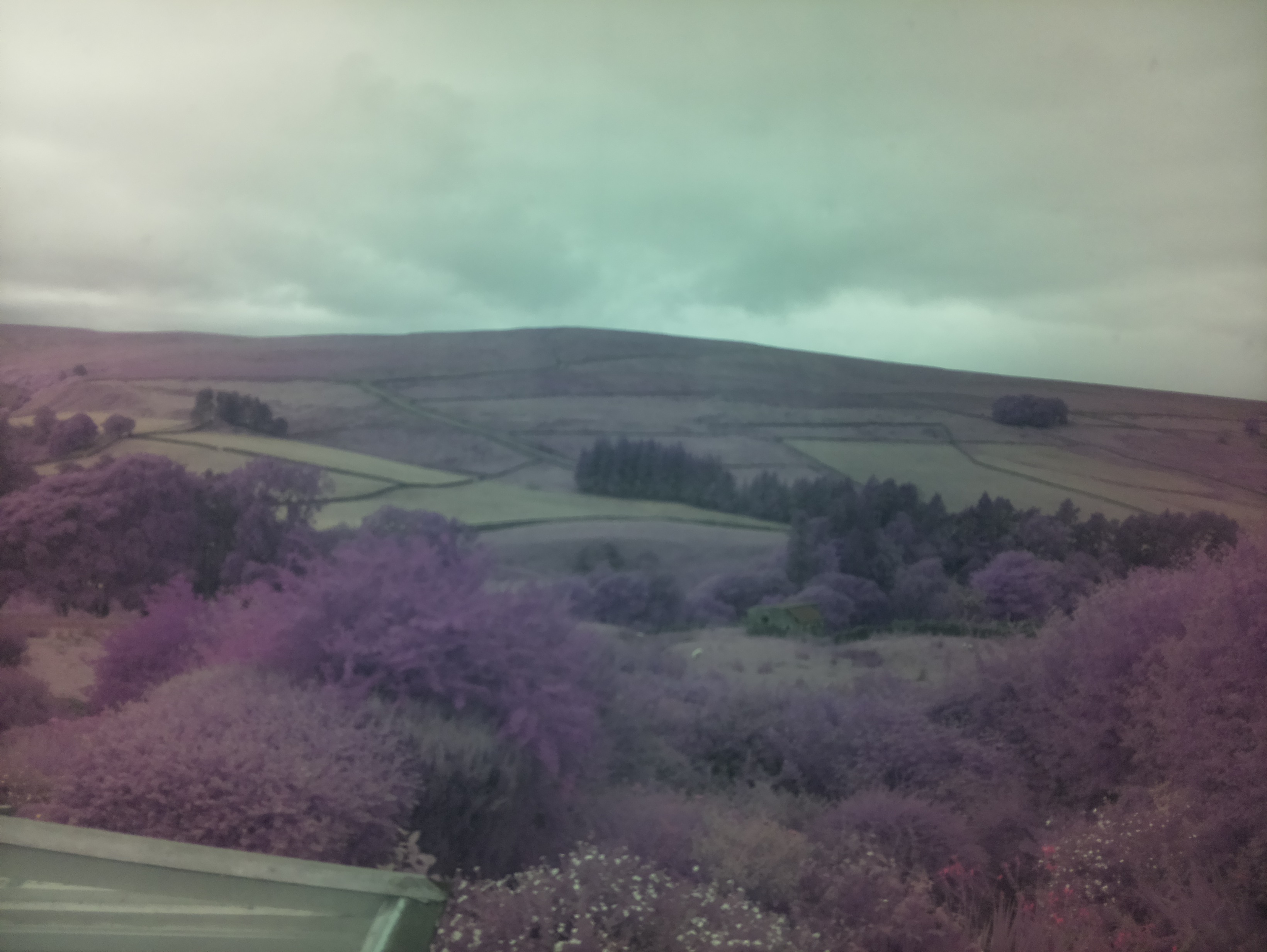 raspi webcam photo