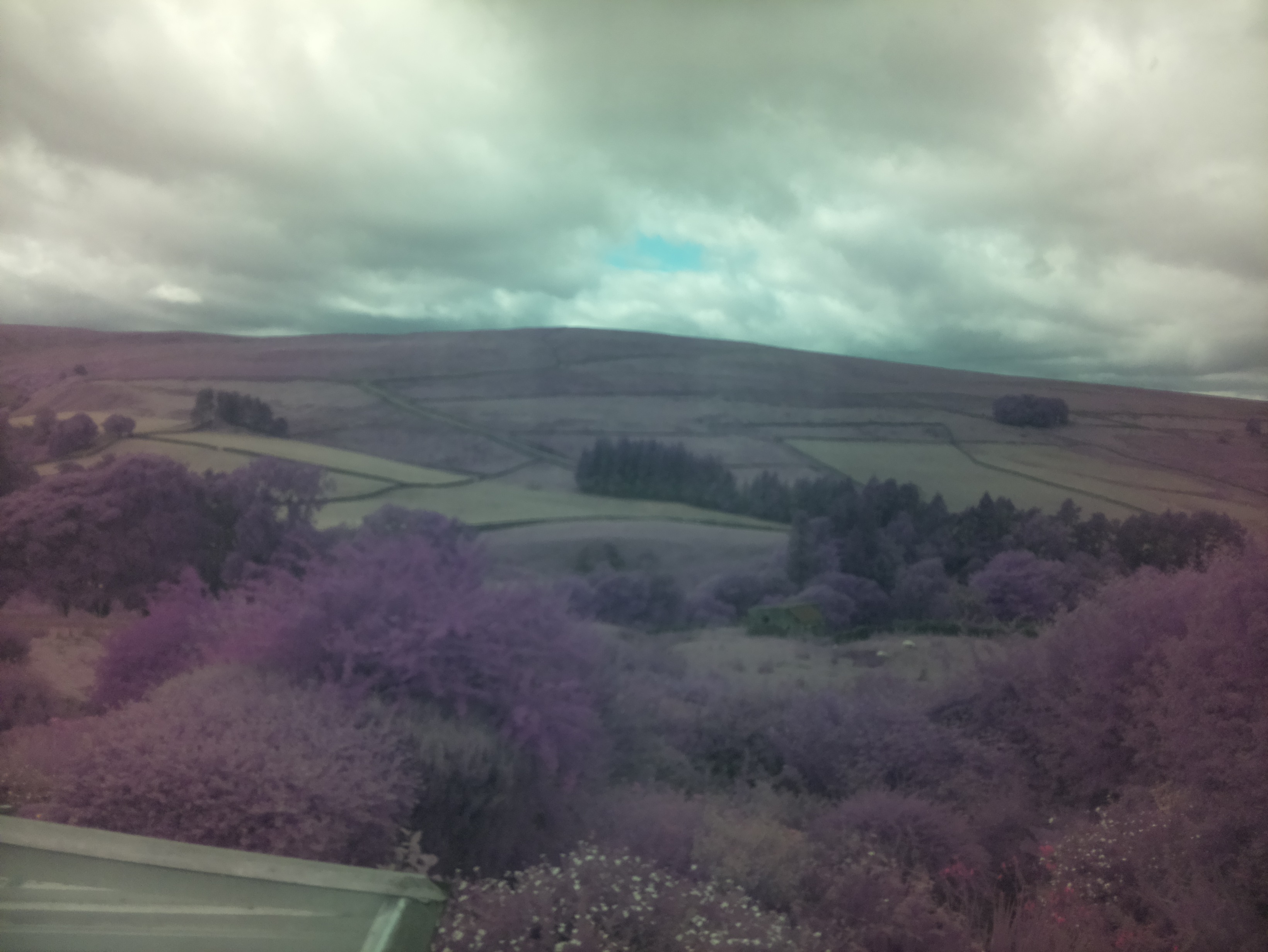 raspi webcam photo