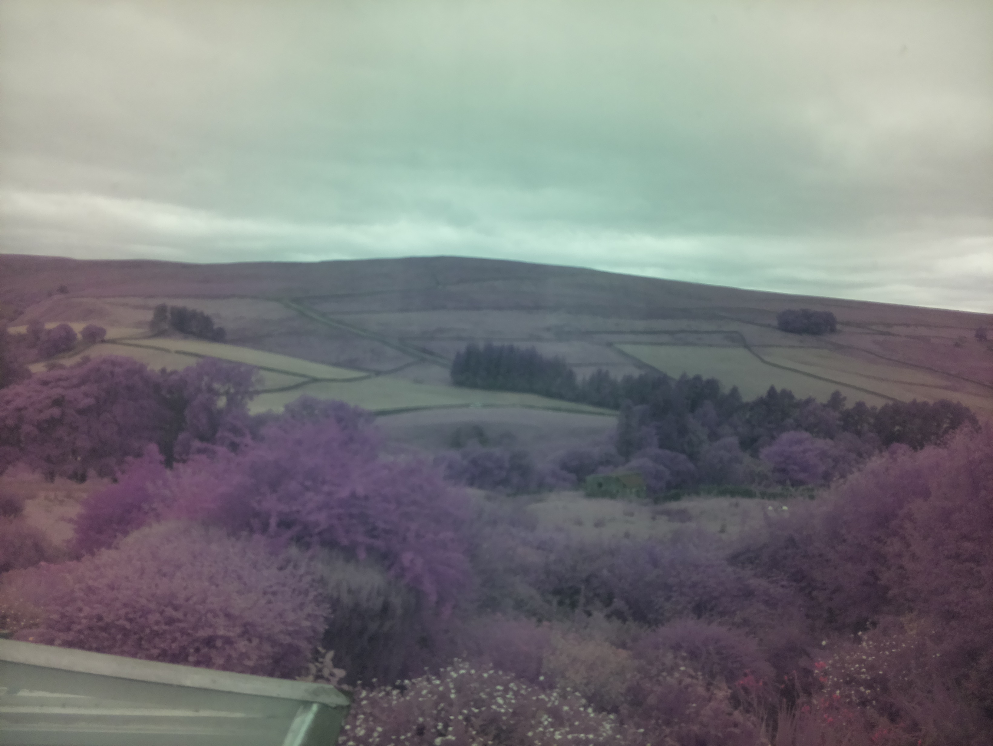 raspi webcam photo