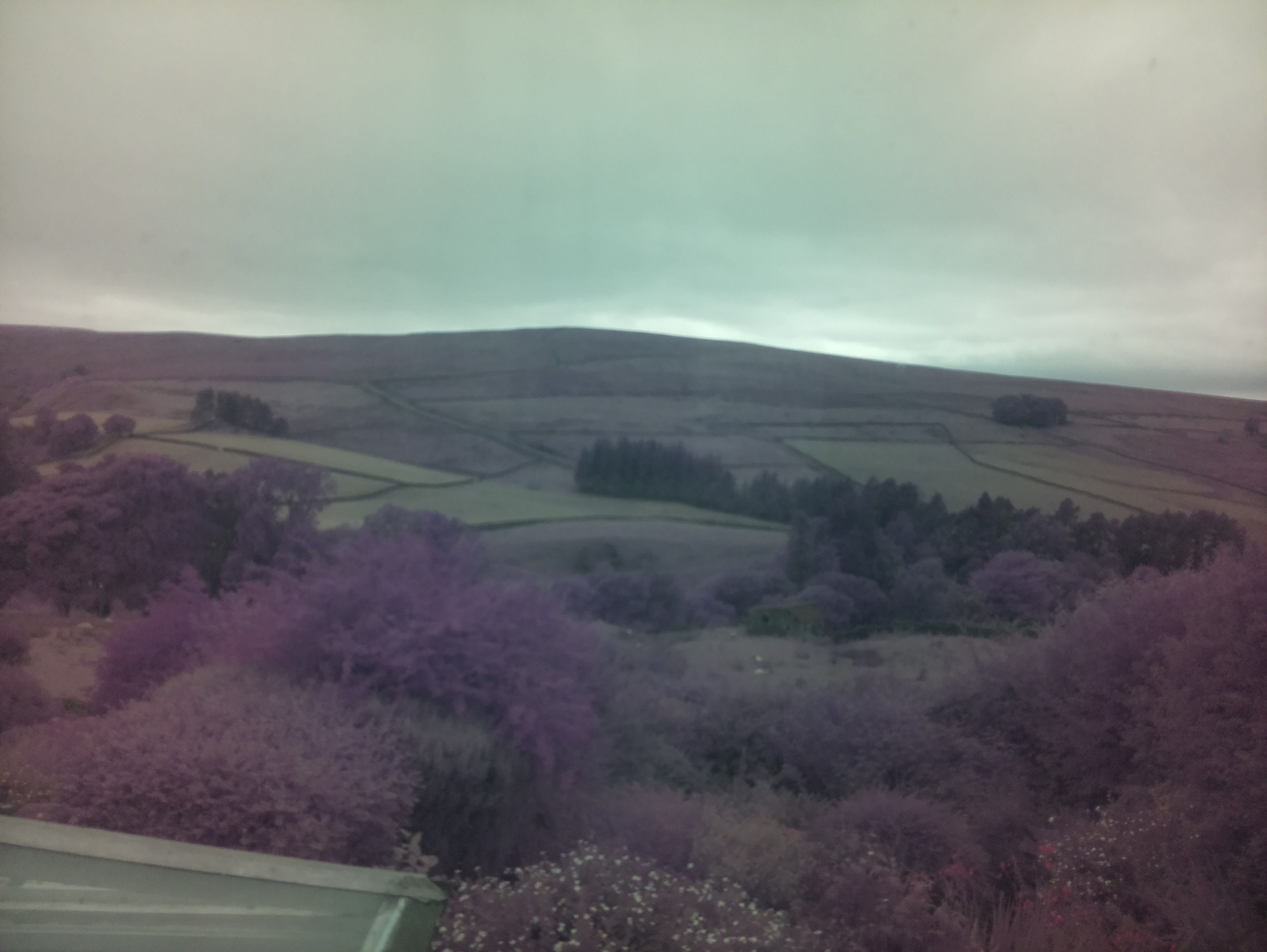 raspi webcam photo