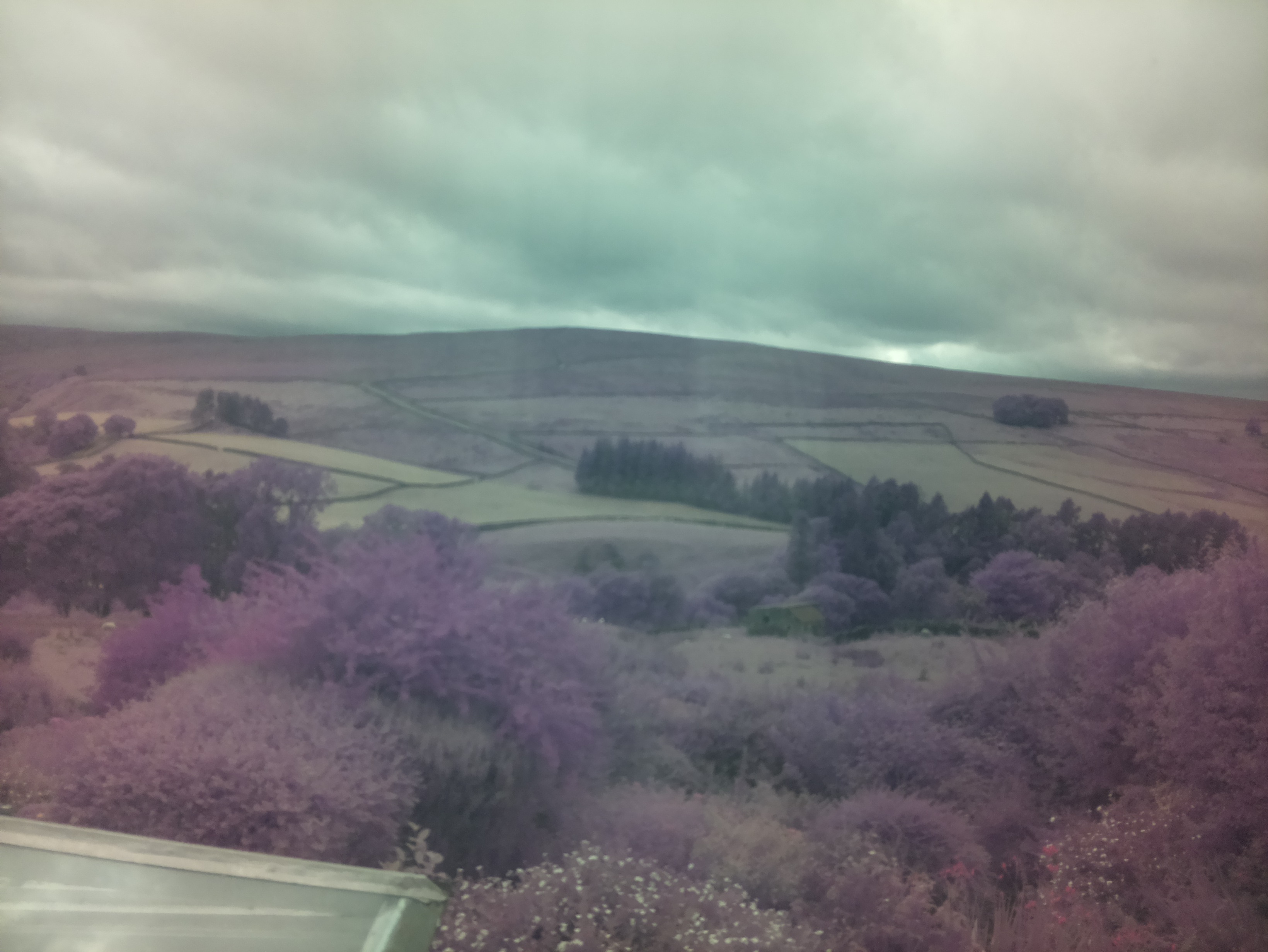raspi webcam photo