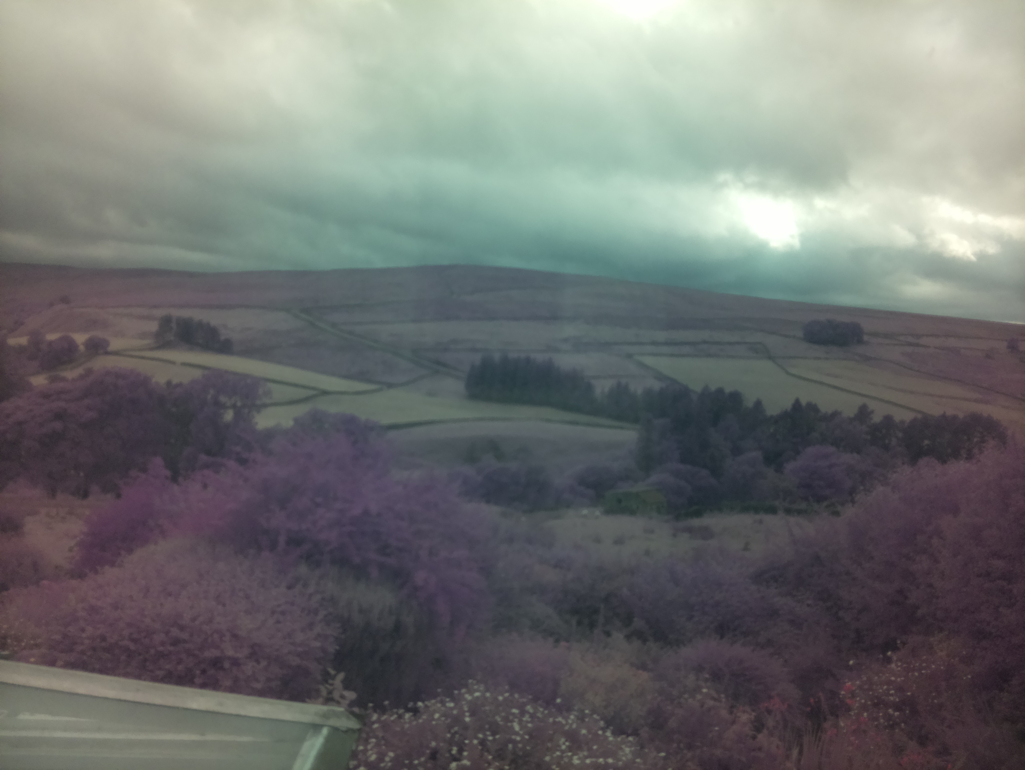 raspi webcam photo