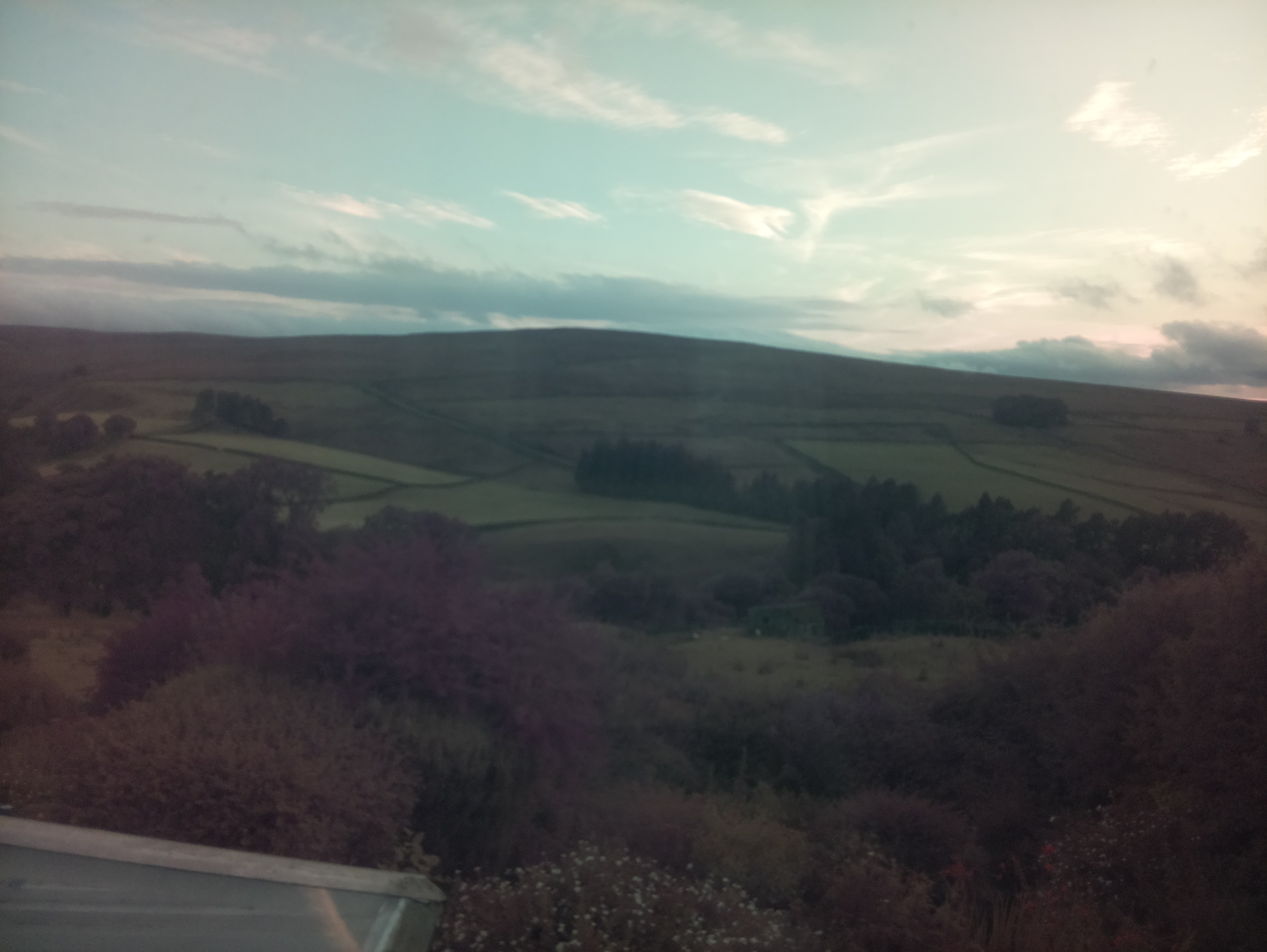 raspi webcam photo