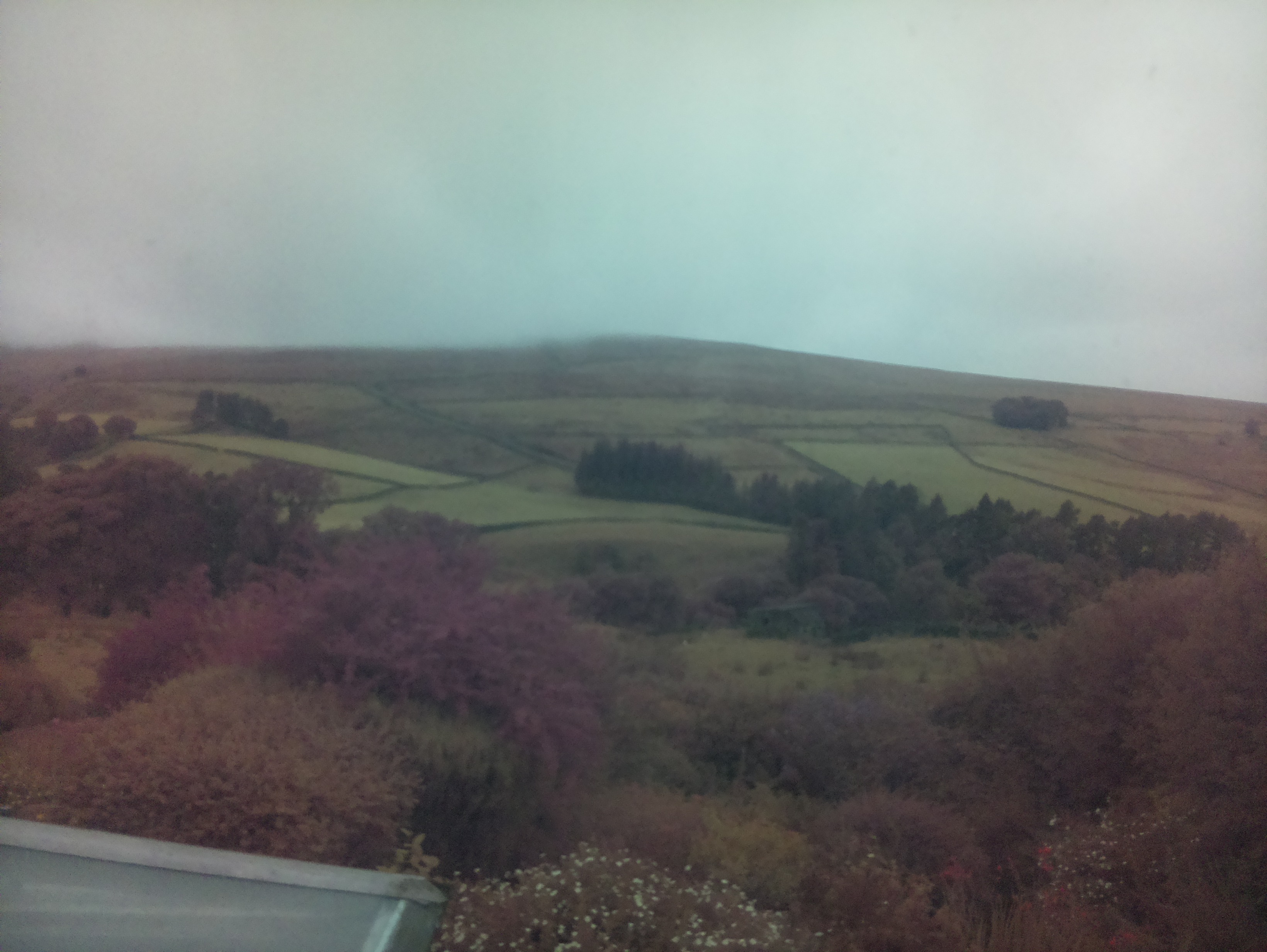 raspi webcam photo