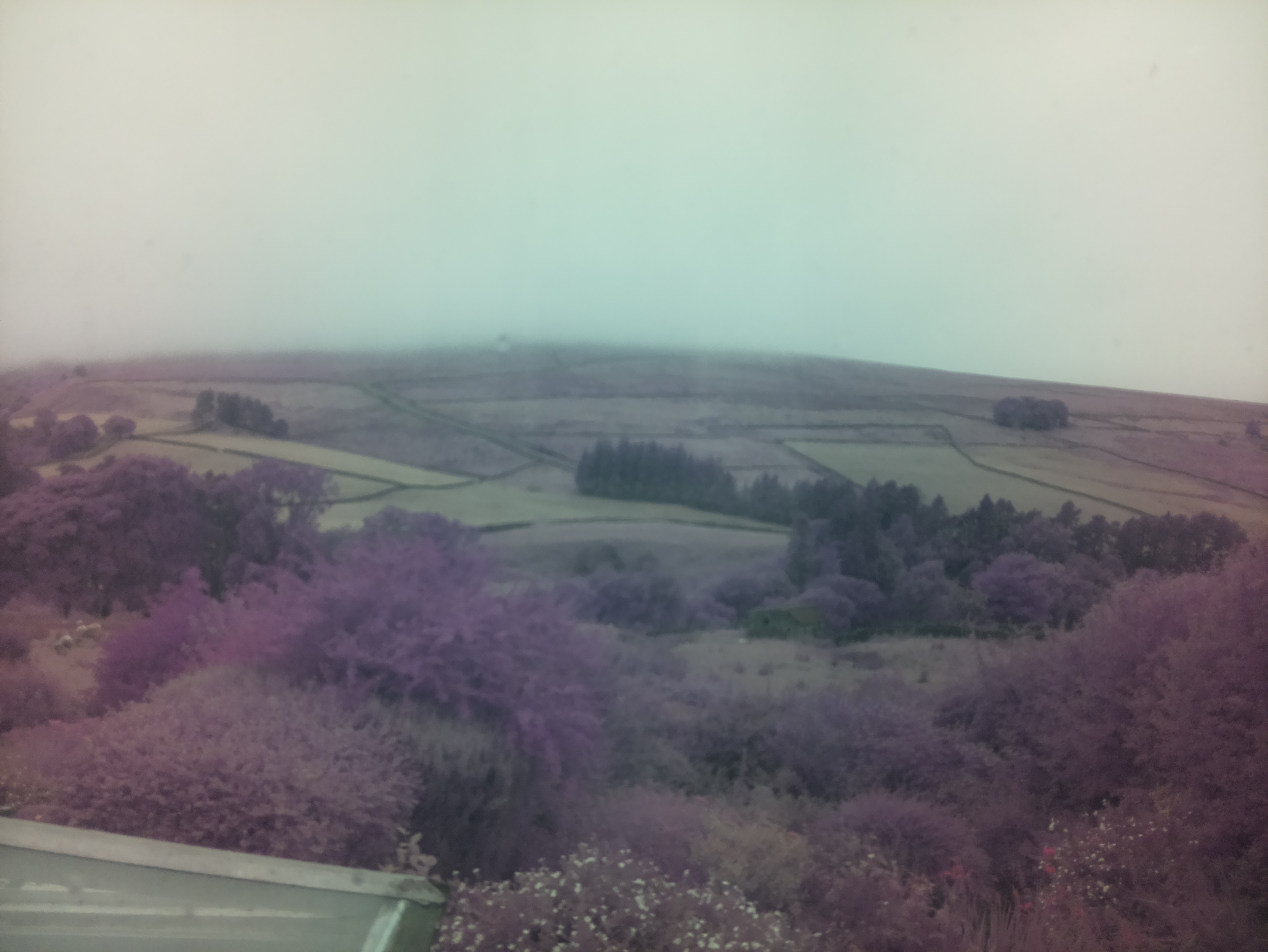 raspi webcam photo