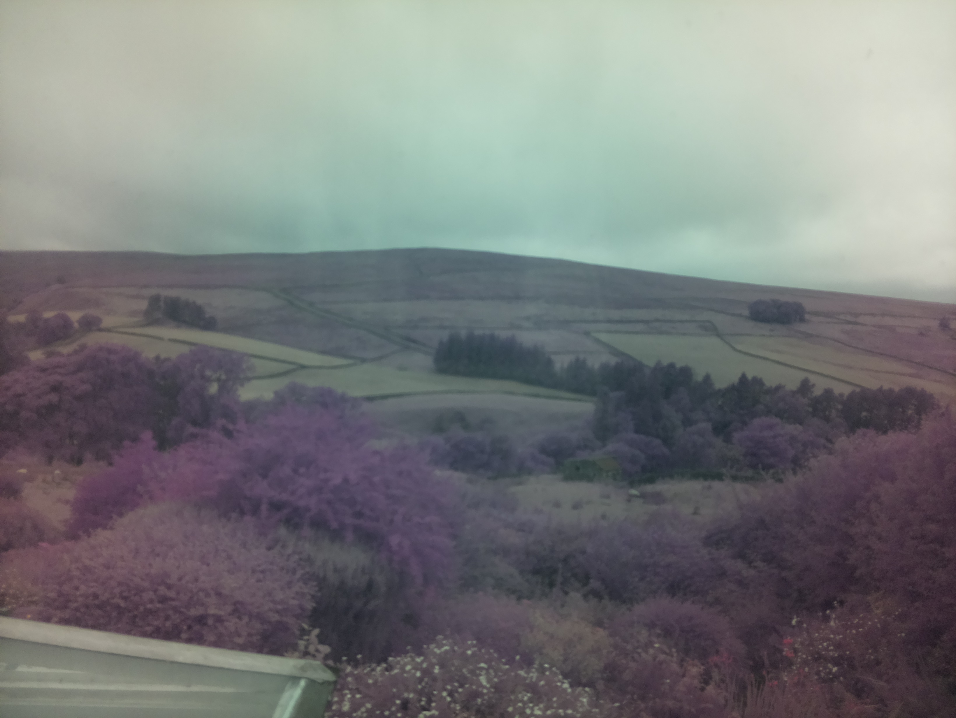 raspi webcam photo