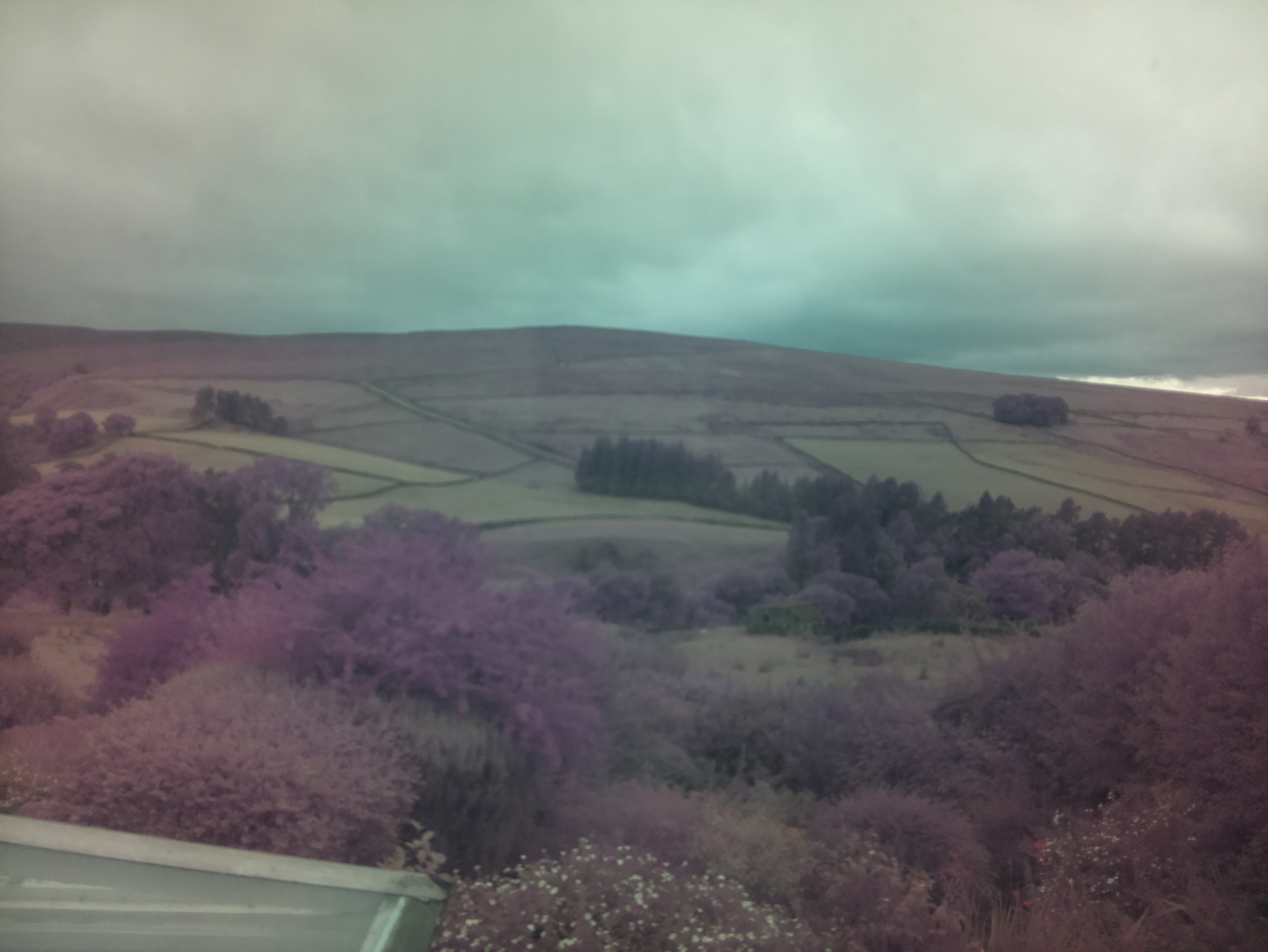 raspi webcam photo