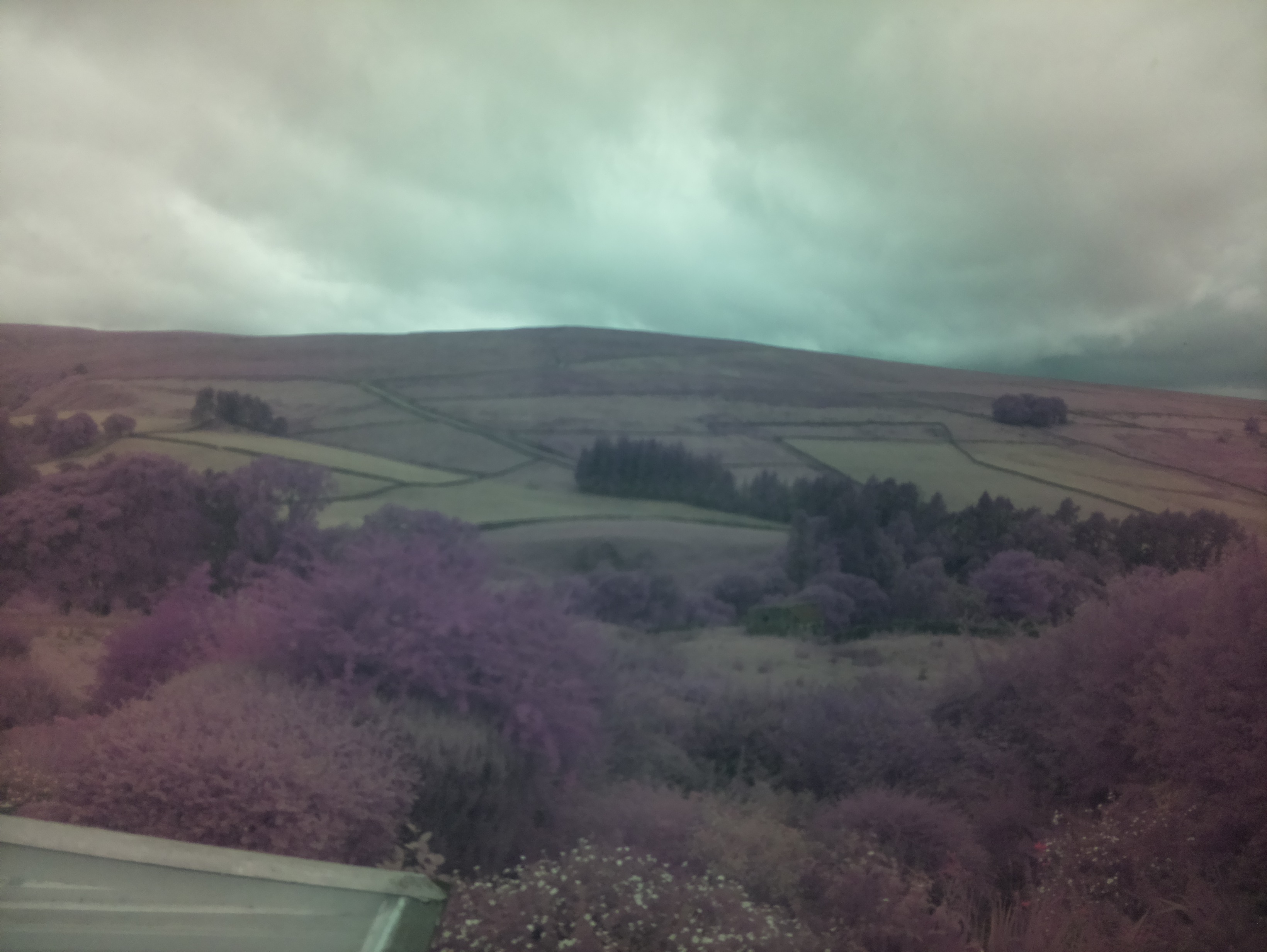 raspi webcam photo