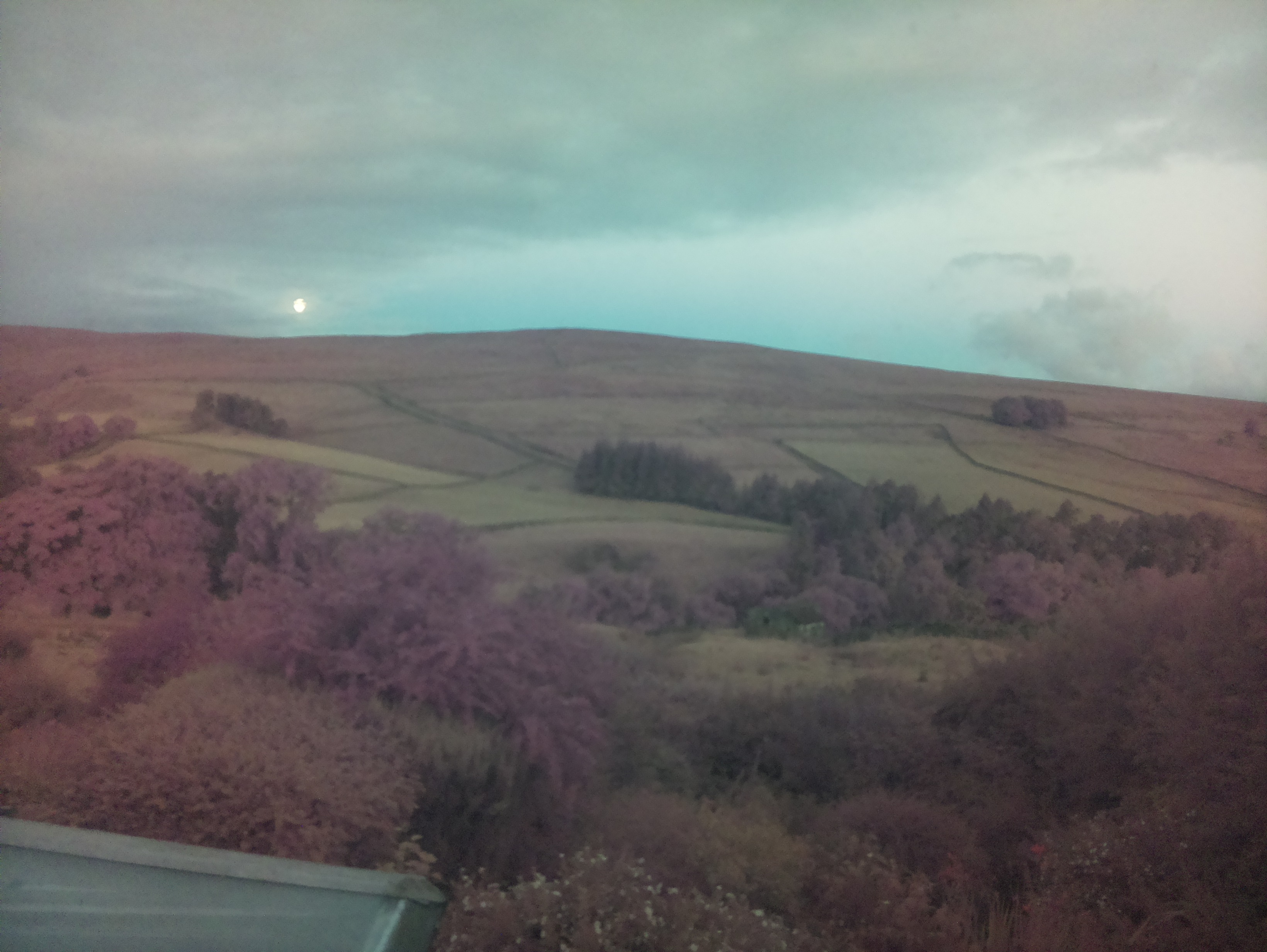 raspi webcam photo