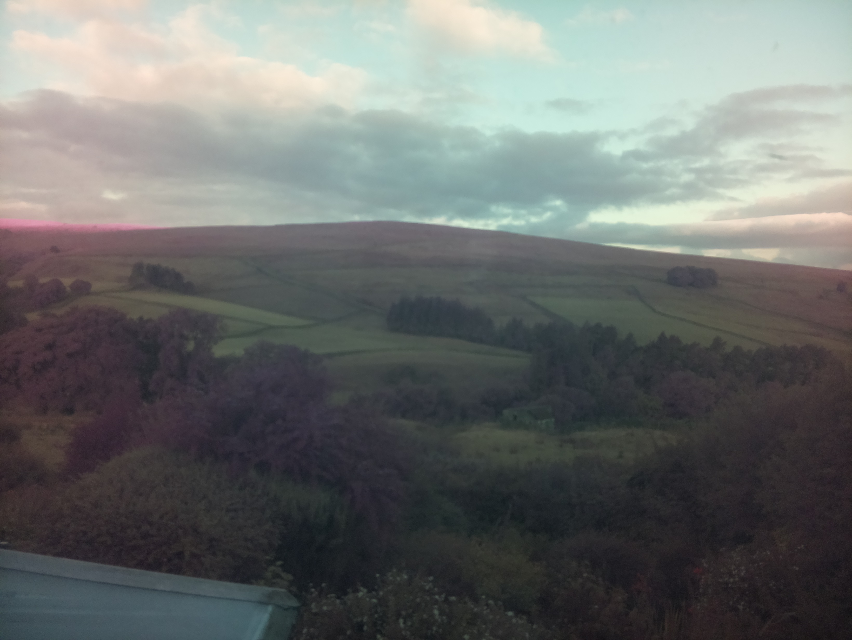 raspi webcam photo
