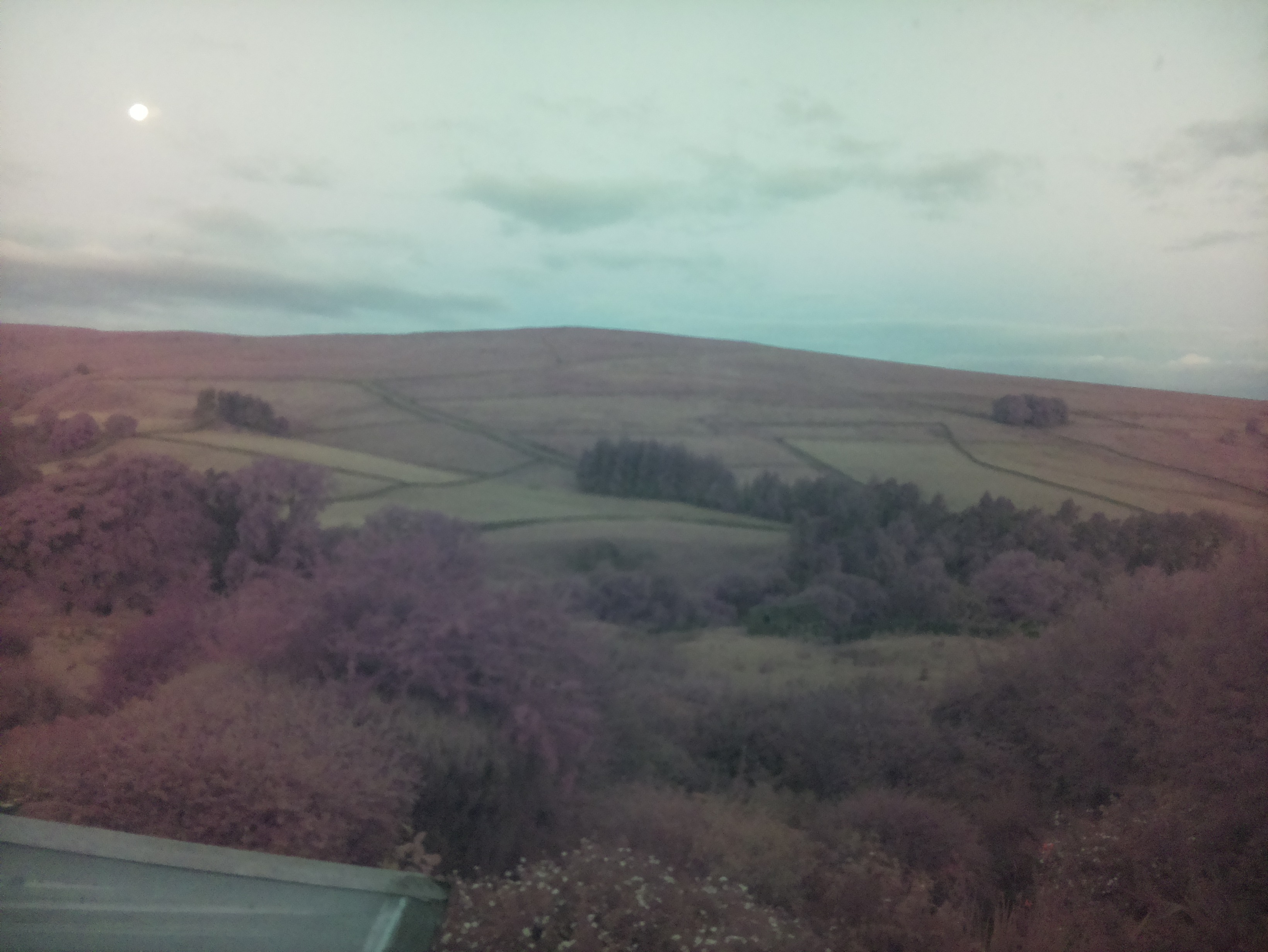 raspi webcam photo