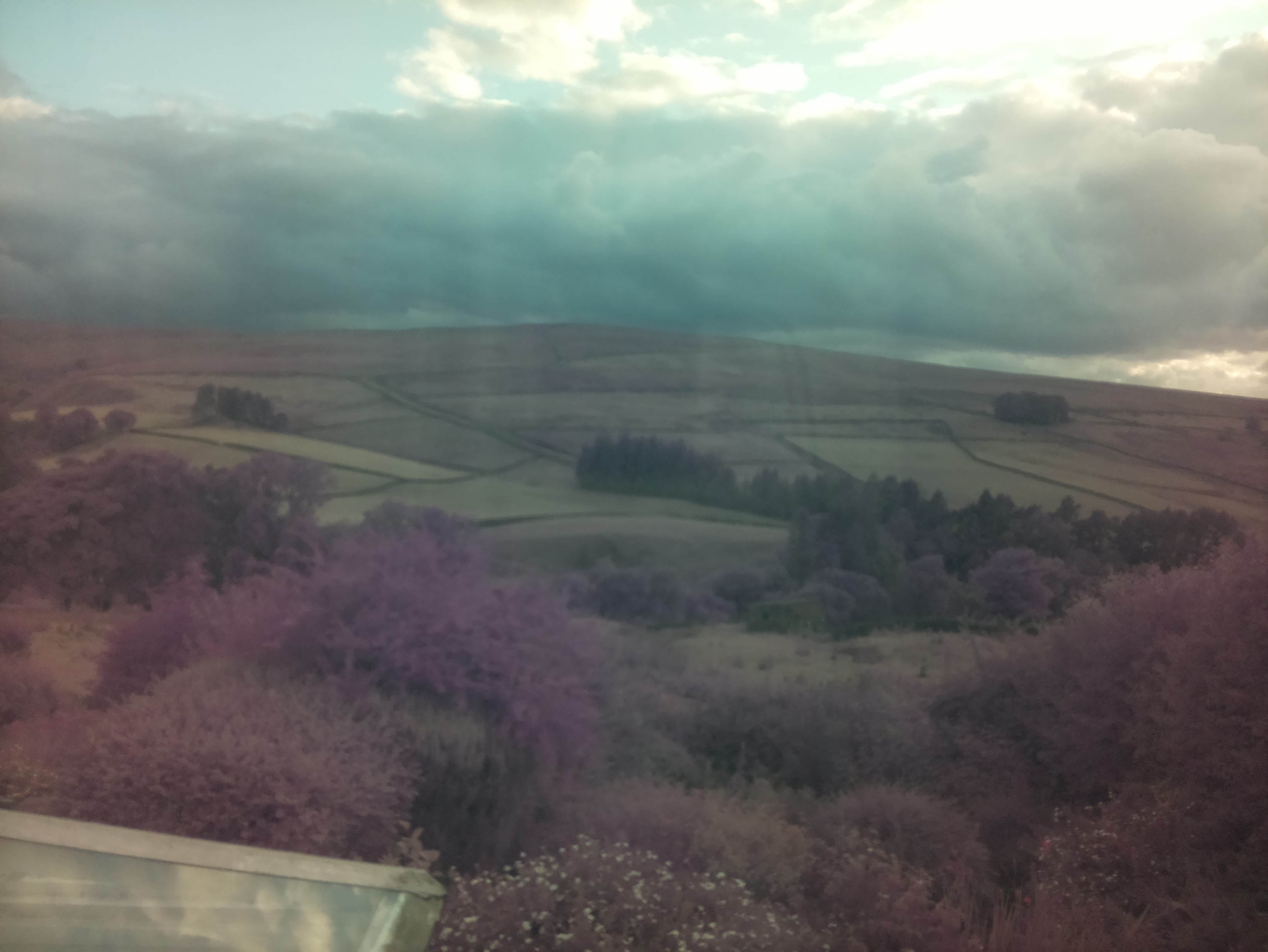 raspi webcam photo