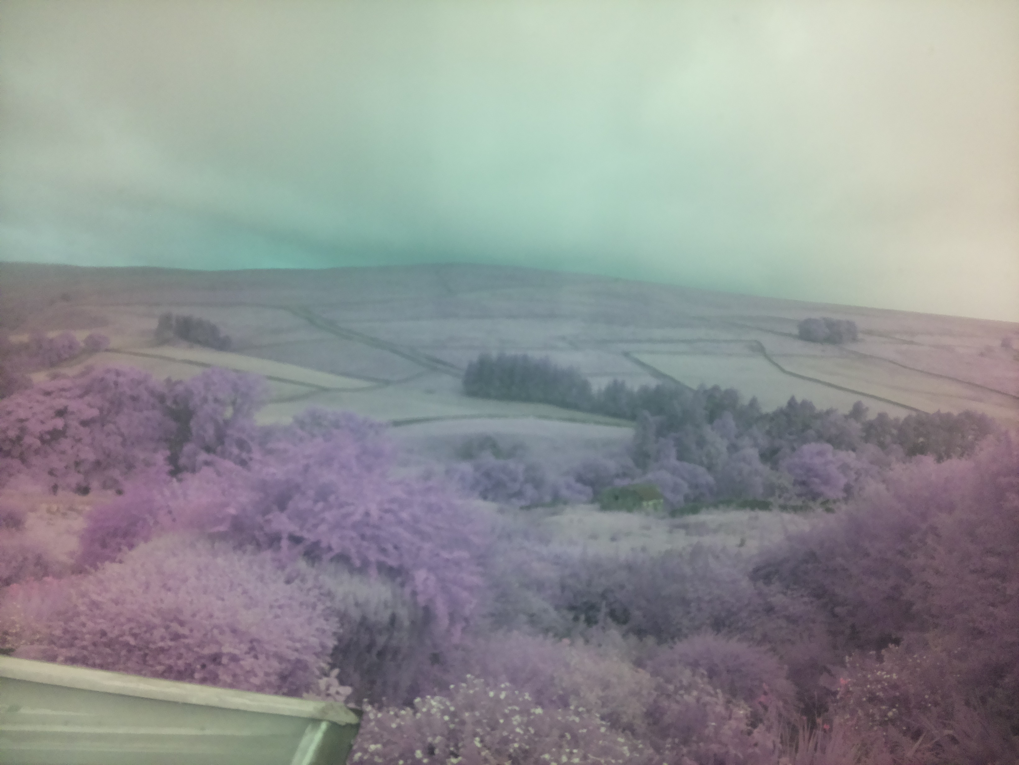 raspi webcam photo