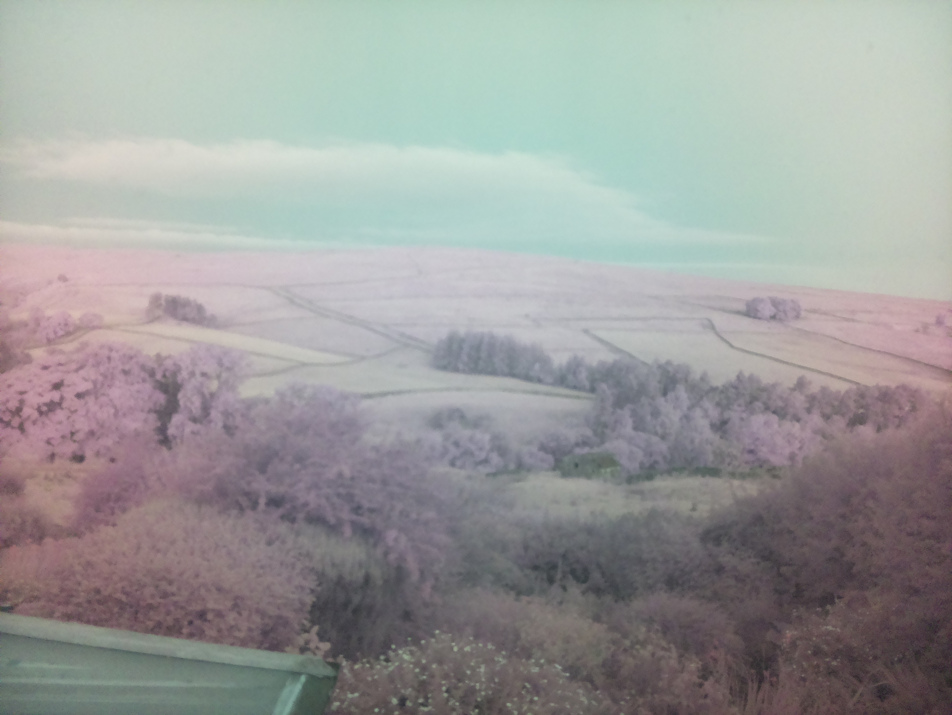 raspi webcam photo