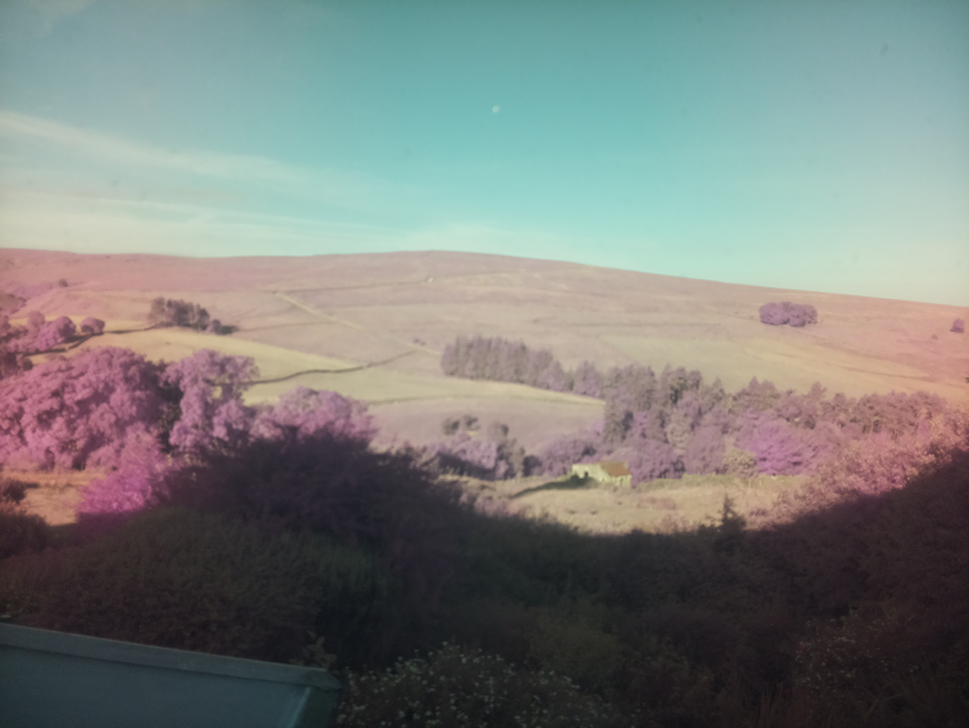 raspi webcam photo
