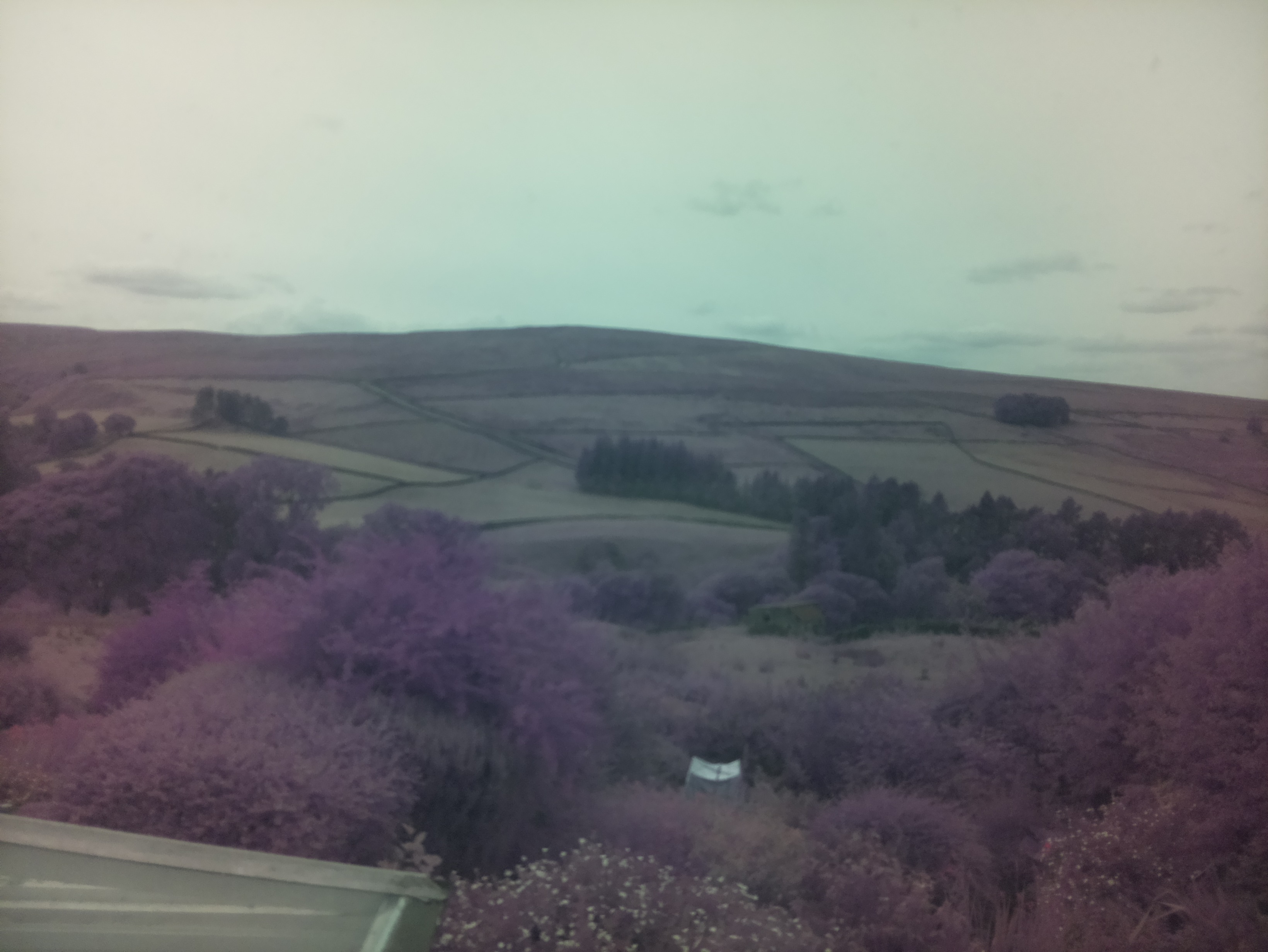 raspi webcam photo