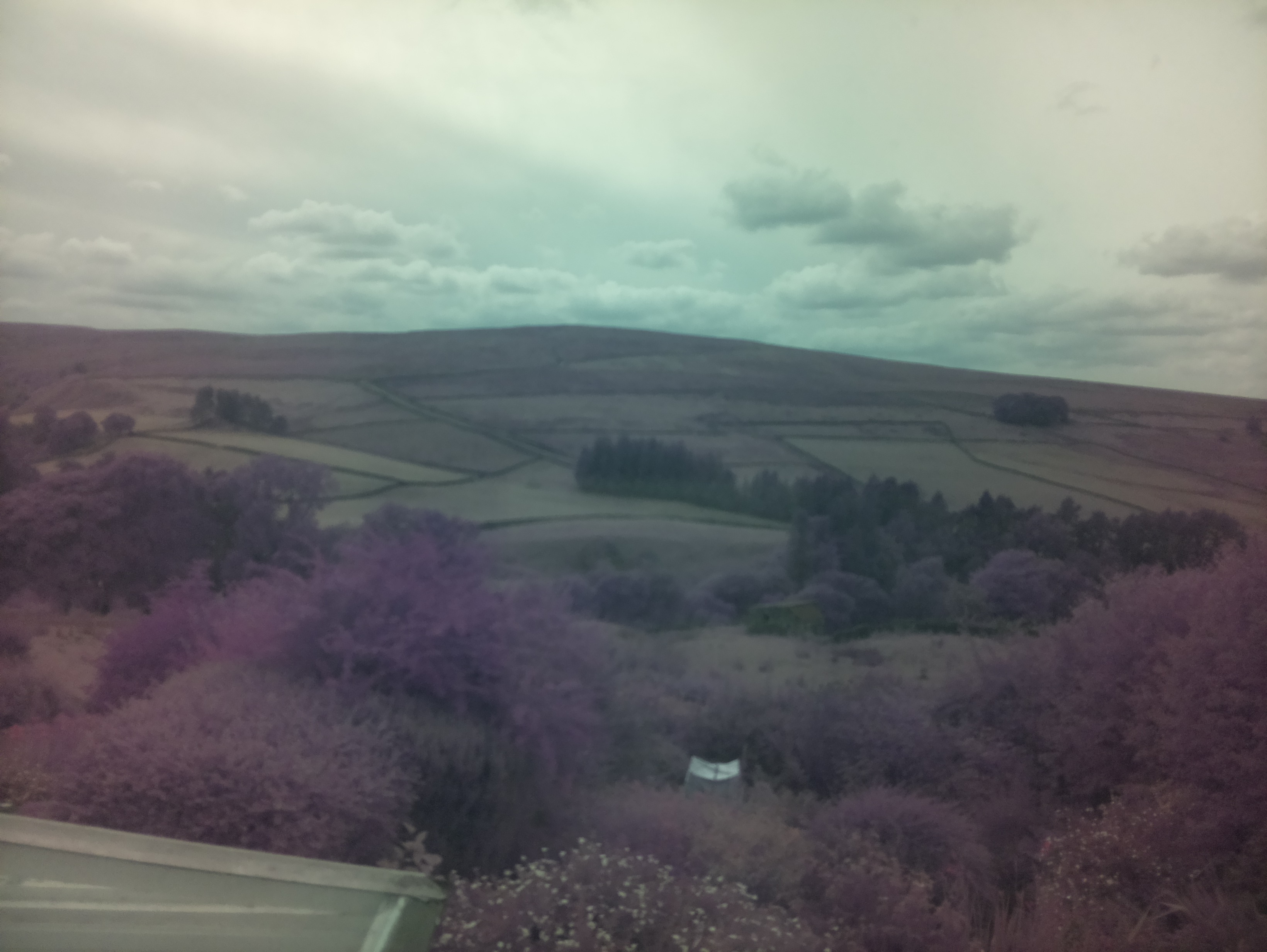 raspi webcam photo