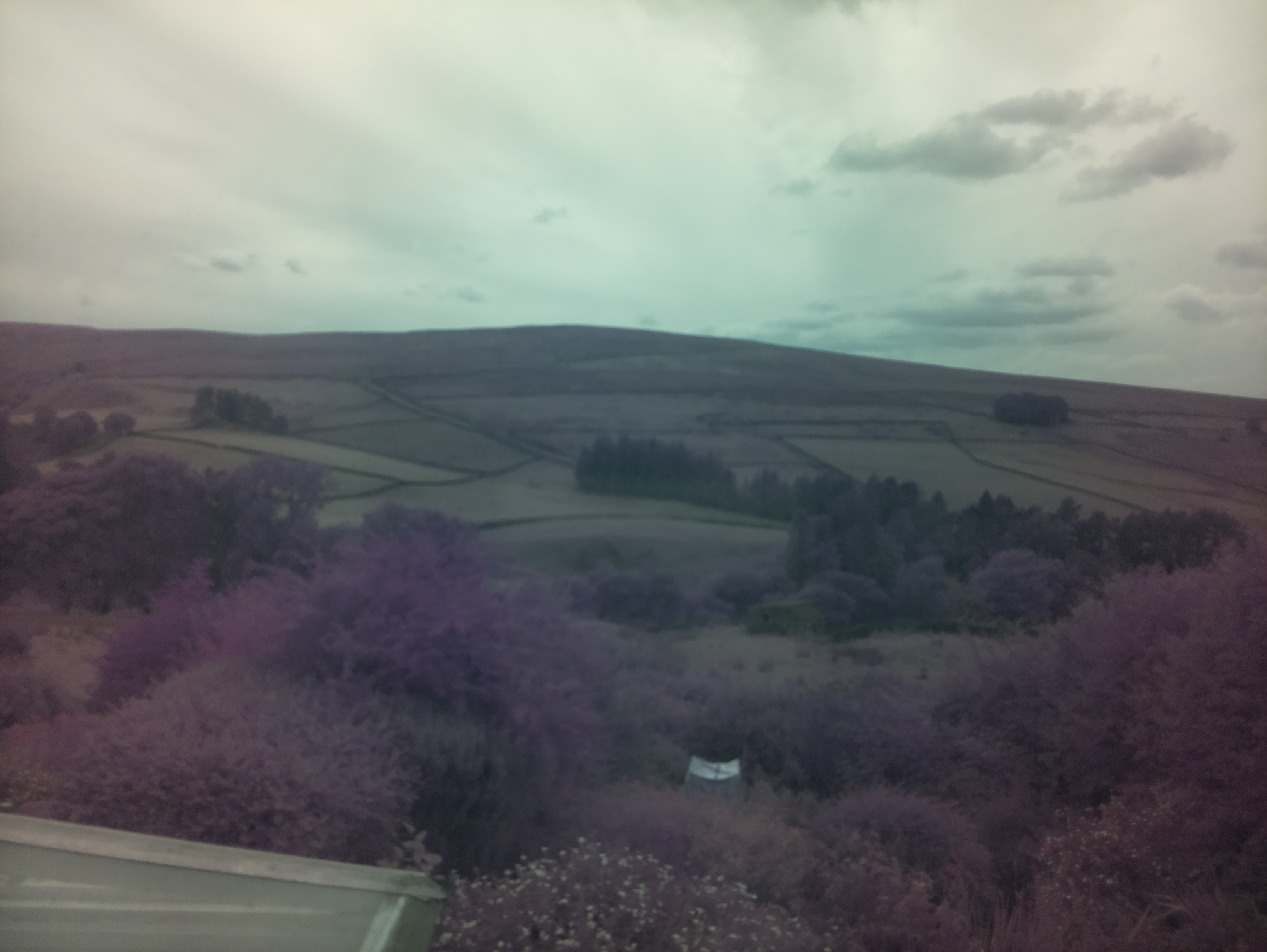 raspi webcam photo