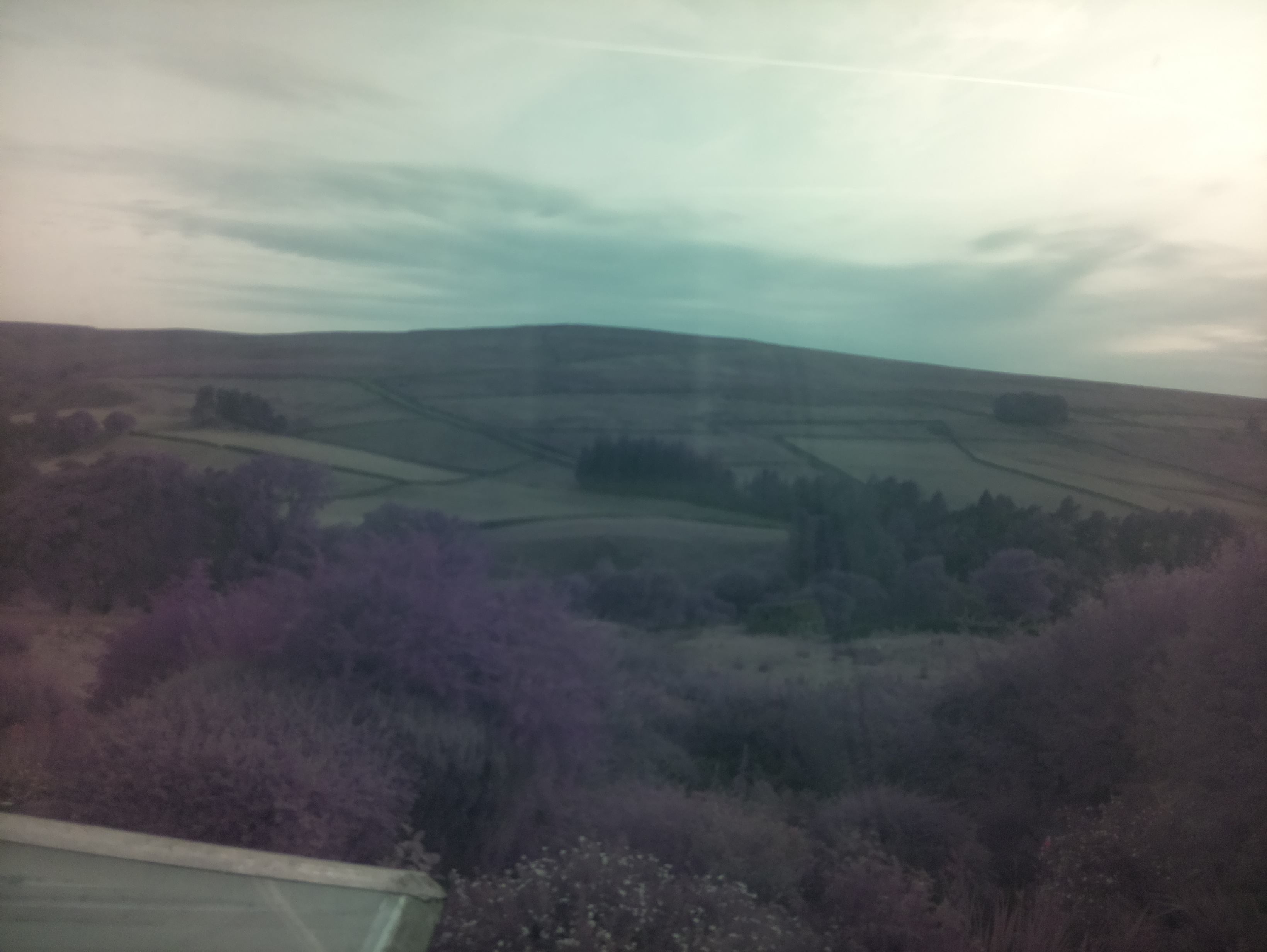 raspi webcam photo