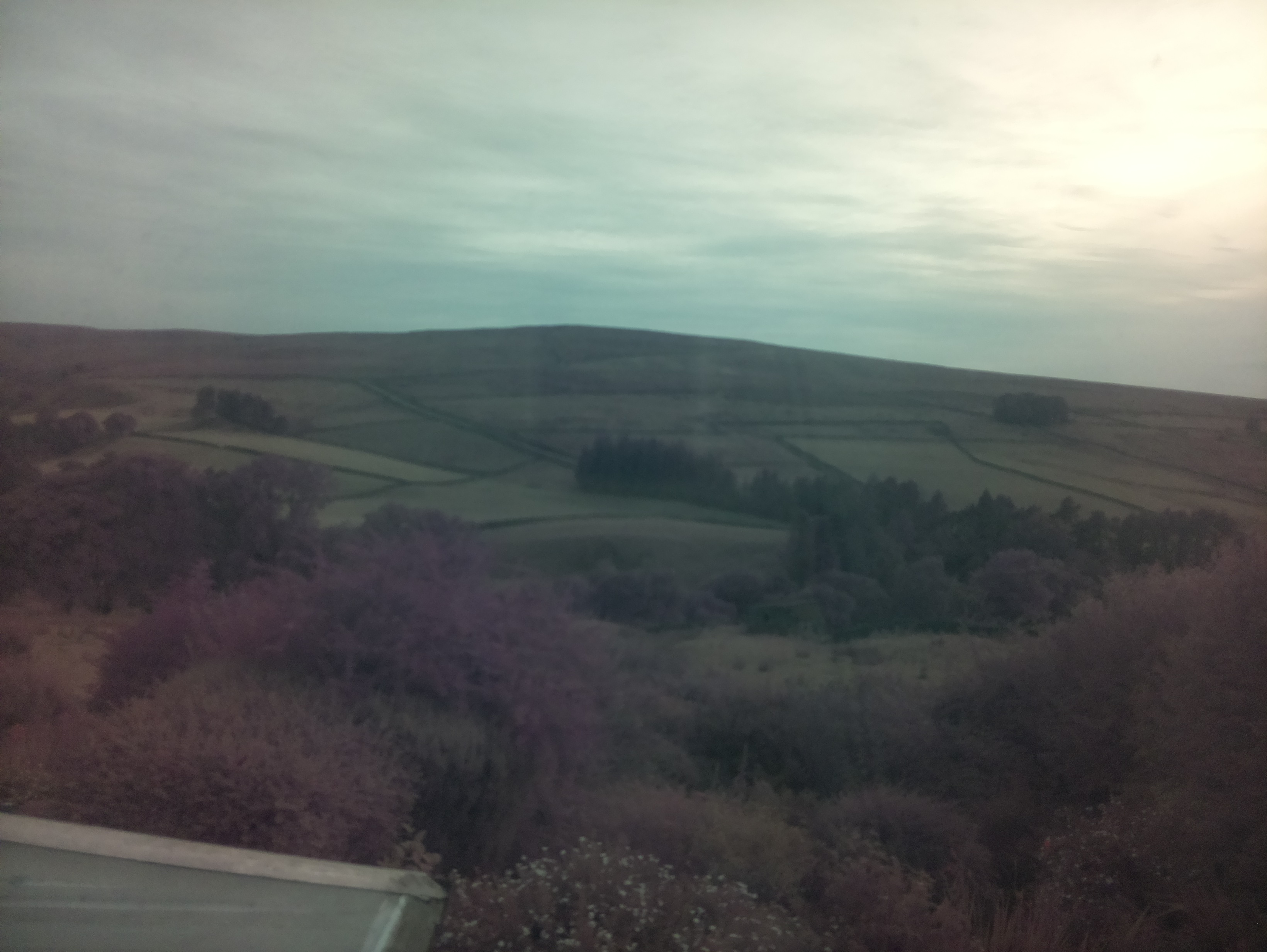 raspi webcam photo