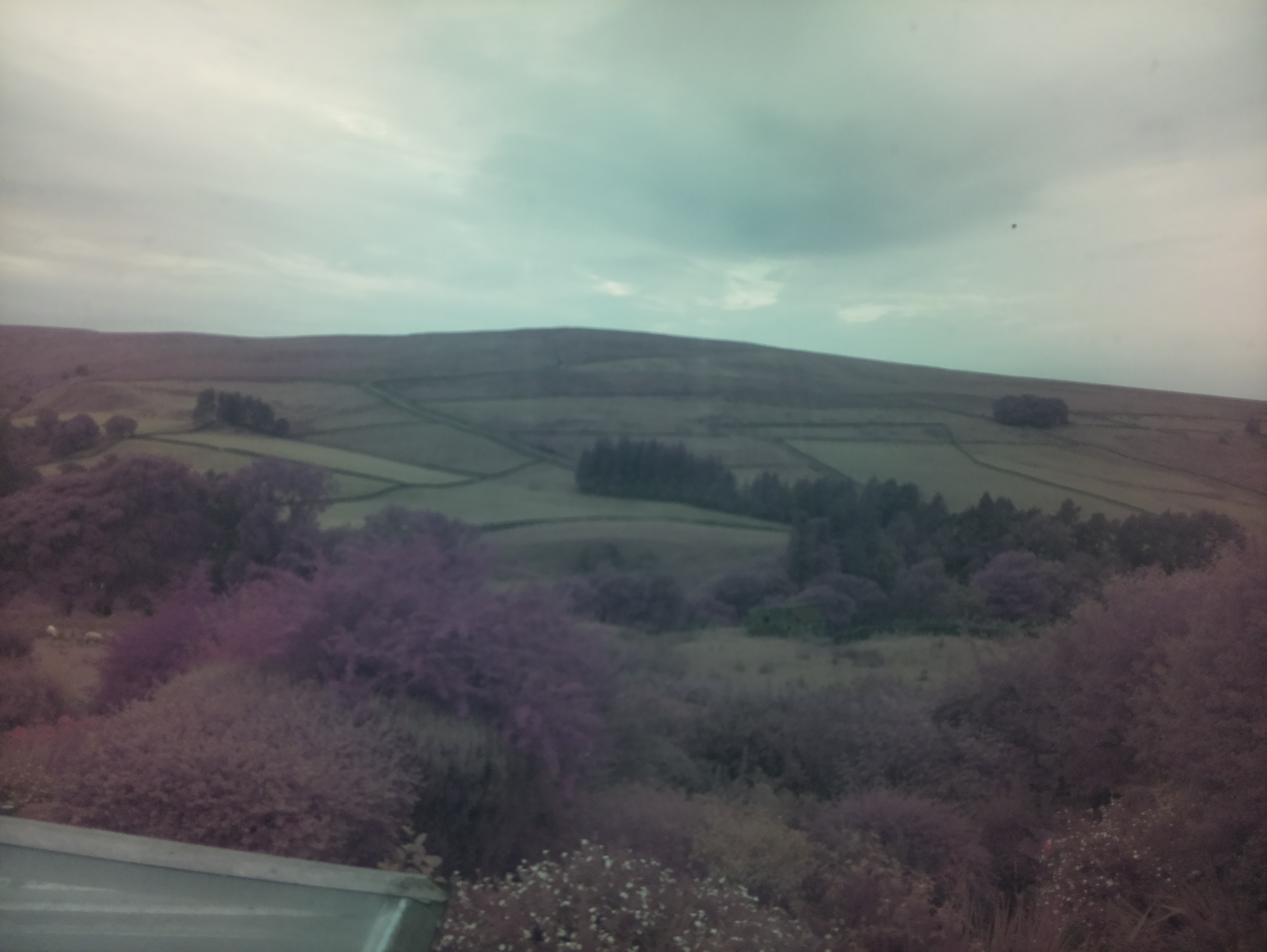 raspi webcam photo