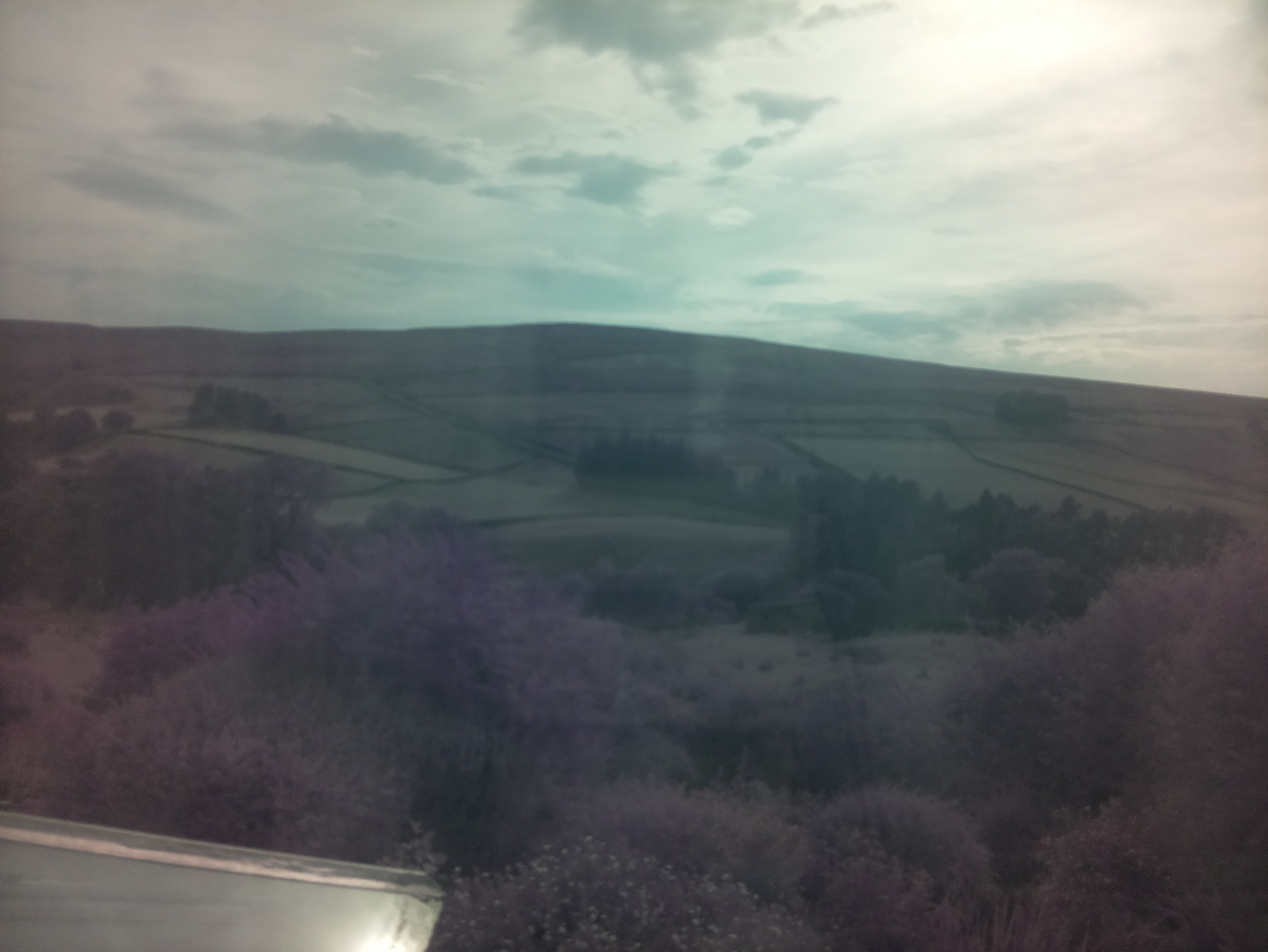 raspi webcam photo
