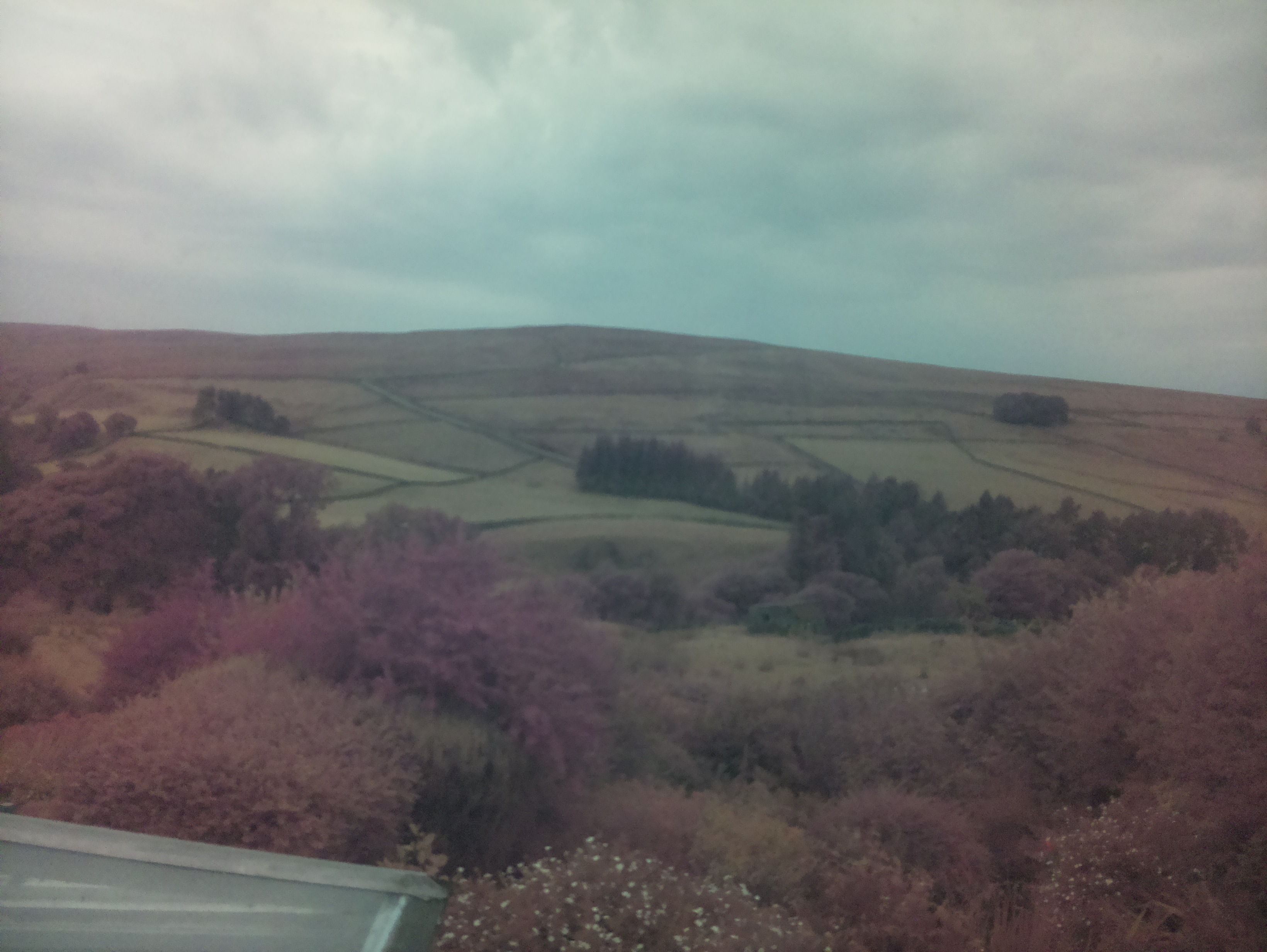 raspi webcam photo