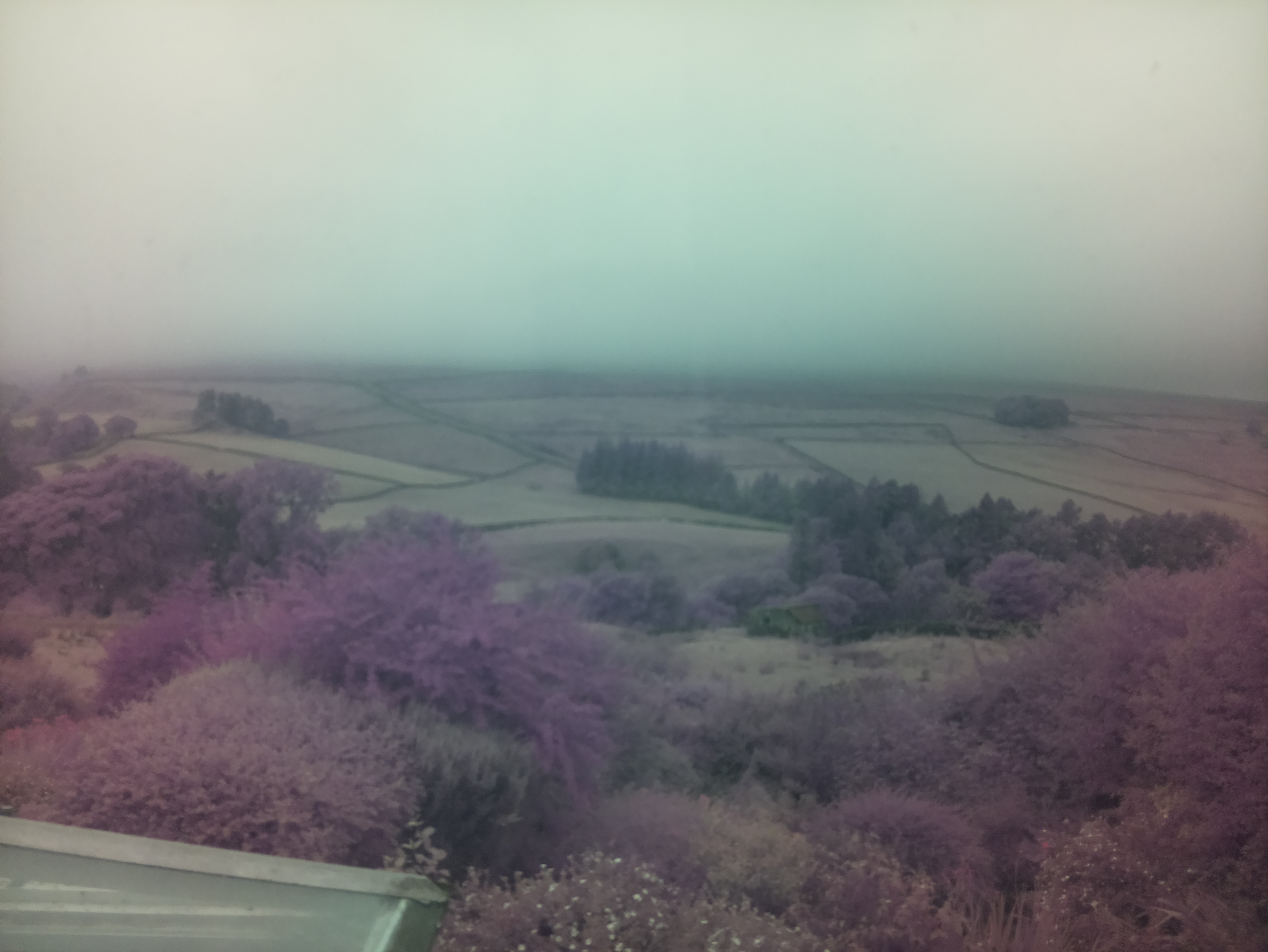 raspi webcam photo