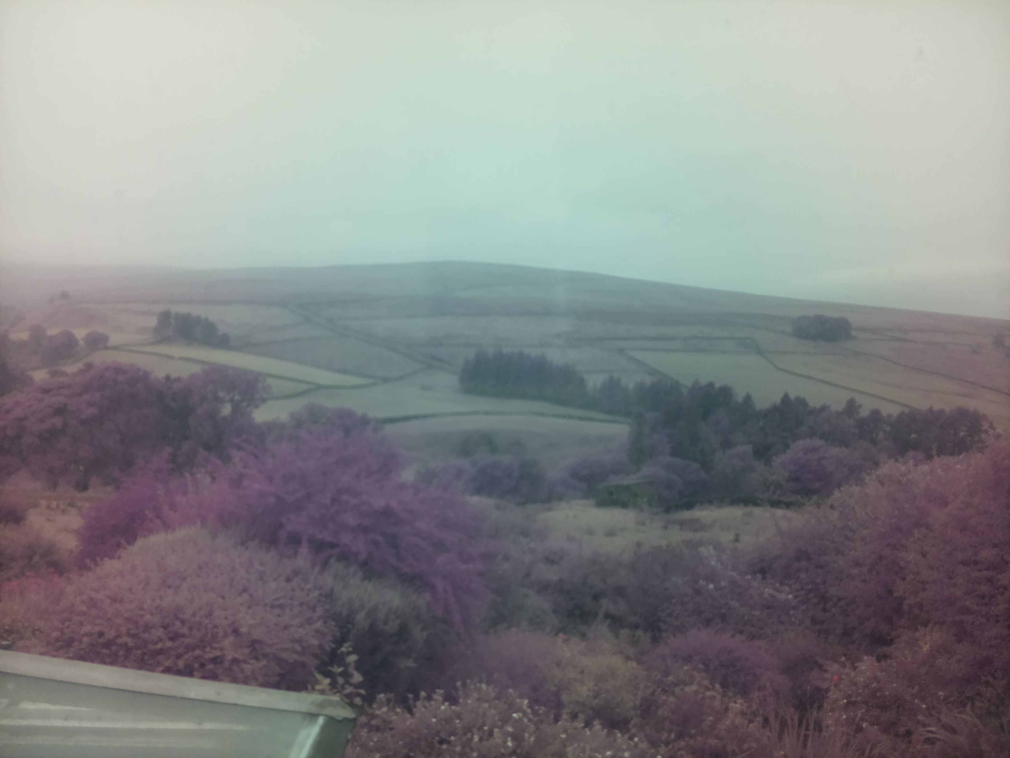 raspi webcam photo