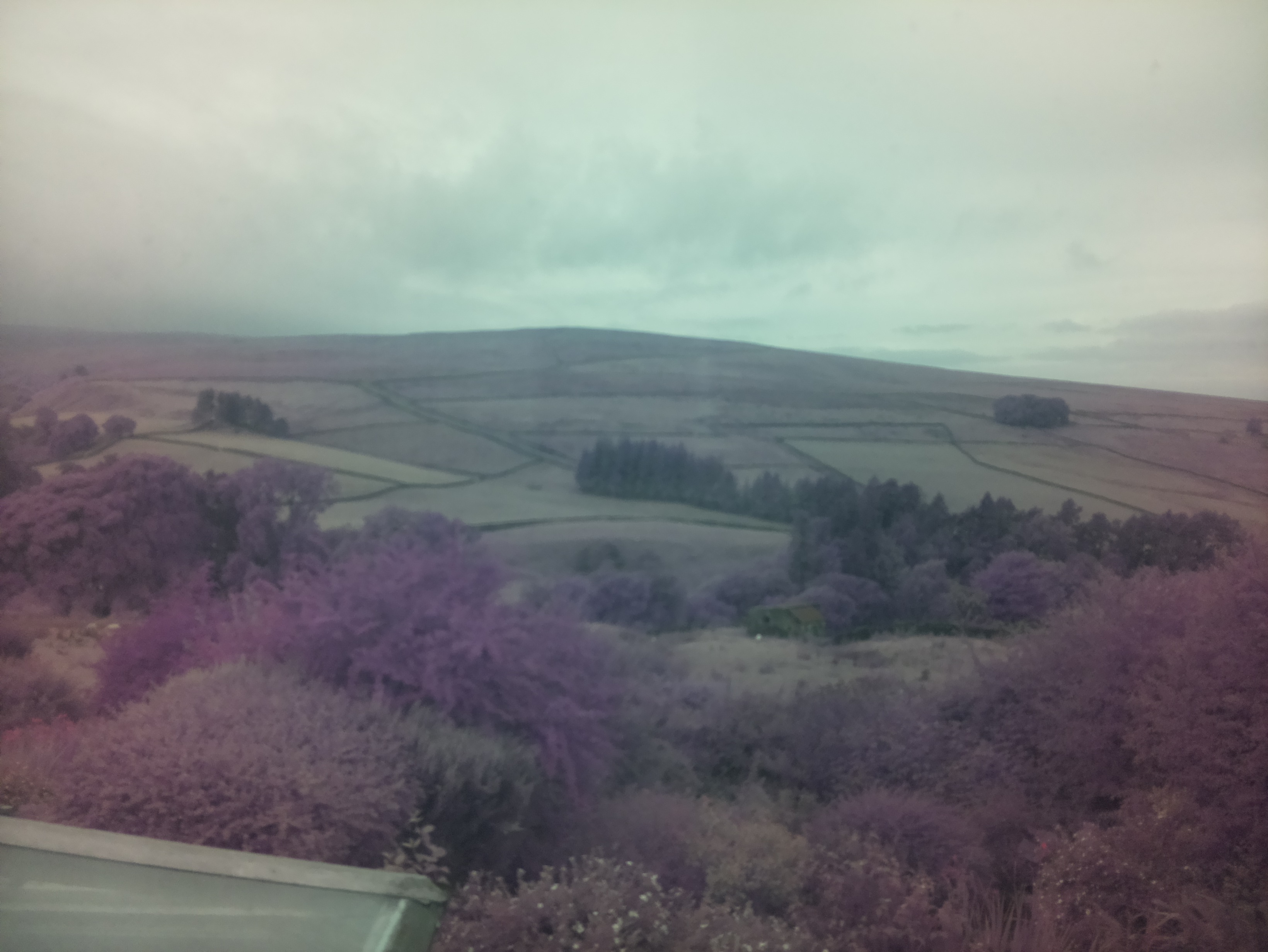 raspi webcam photo