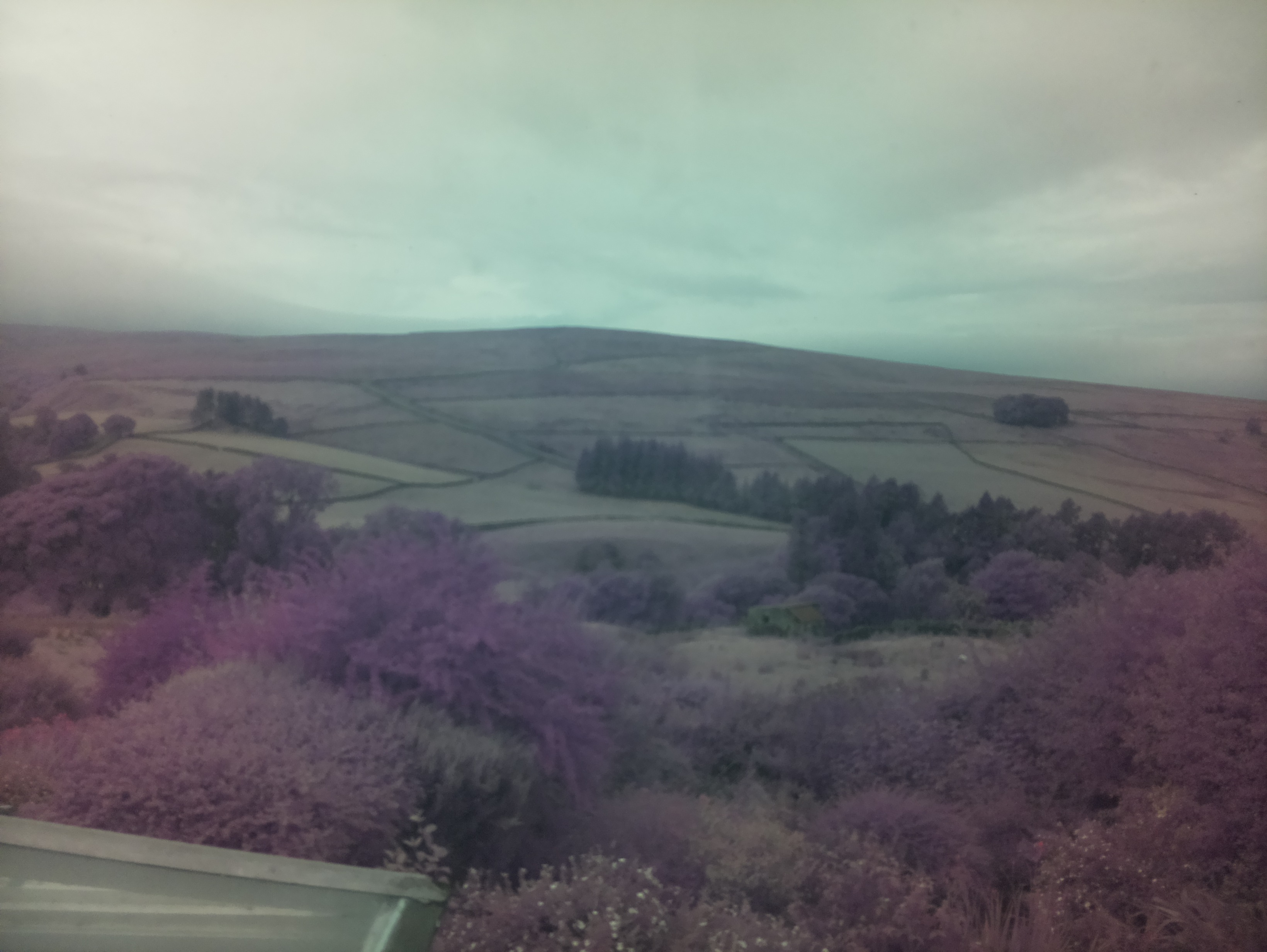 raspi webcam photo