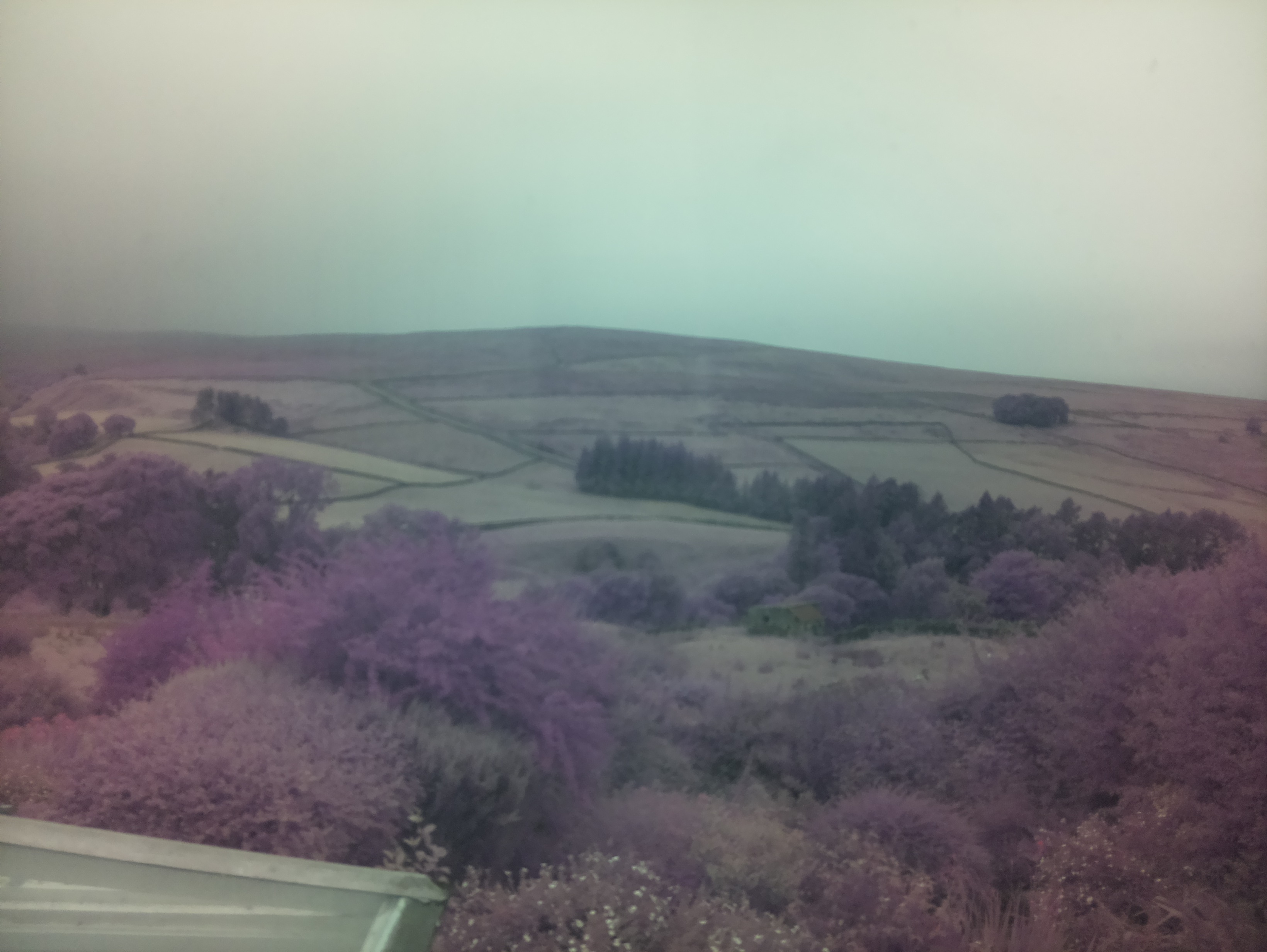 raspi webcam photo