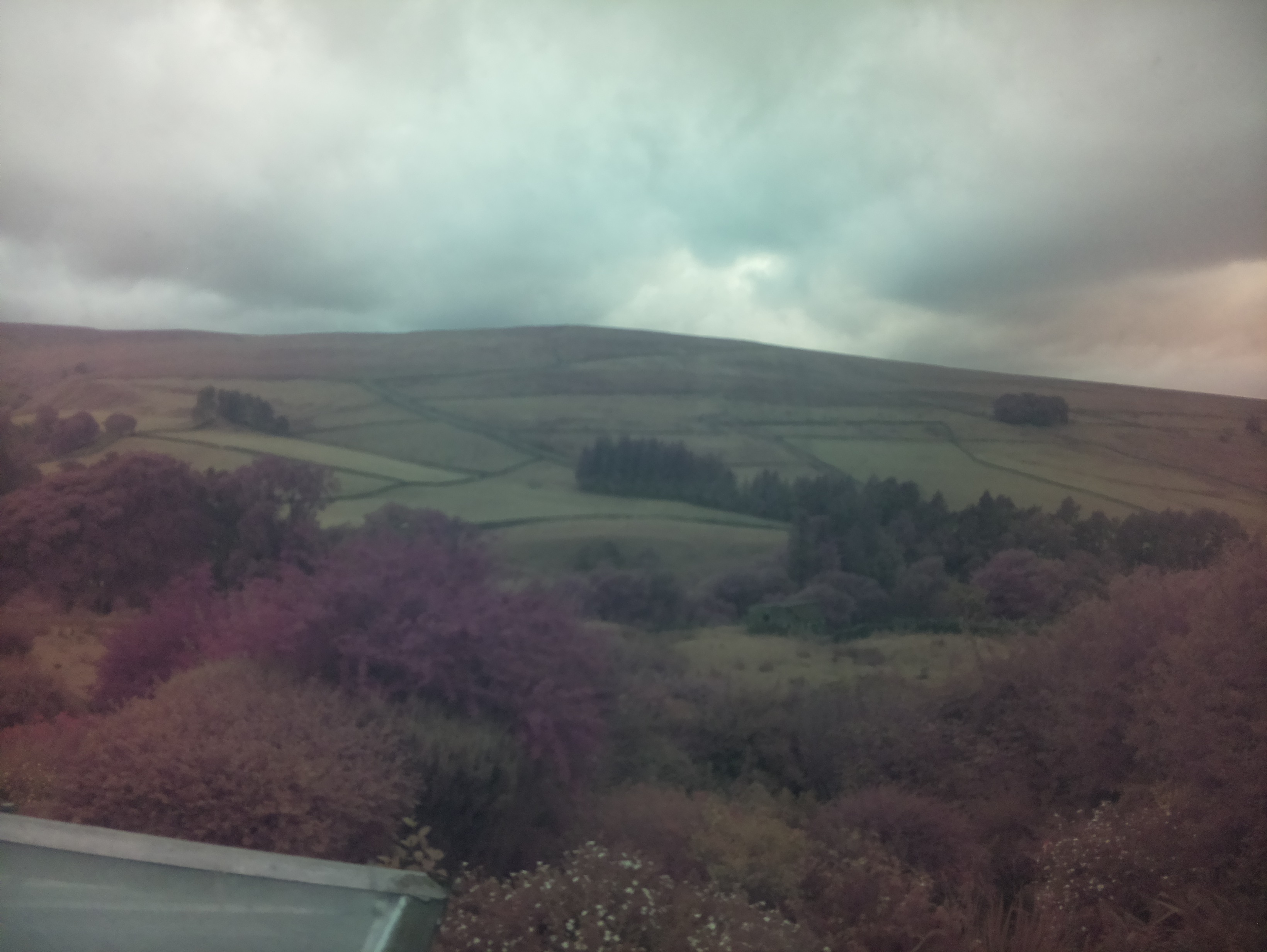 raspi webcam photo