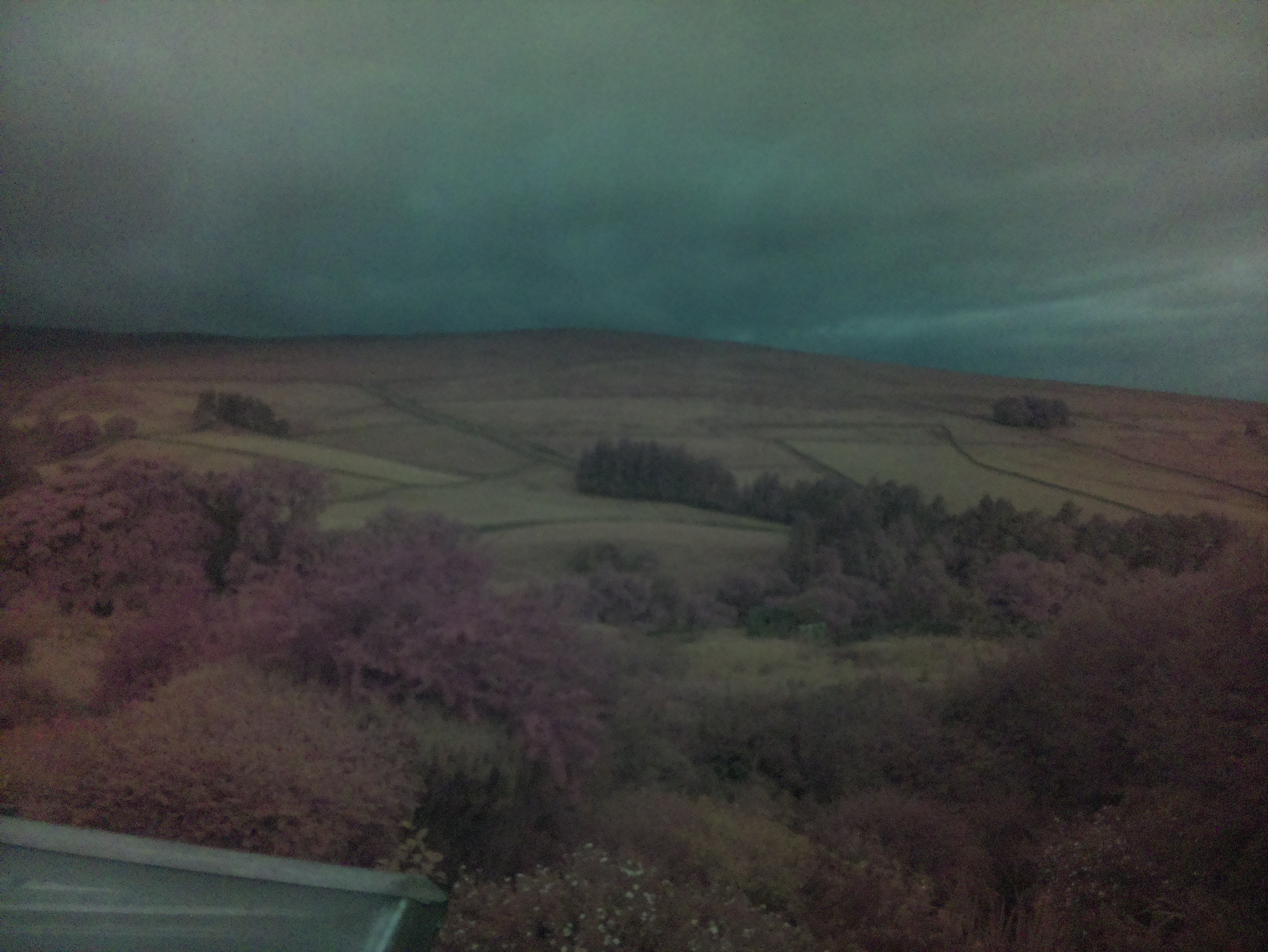 raspi webcam photo