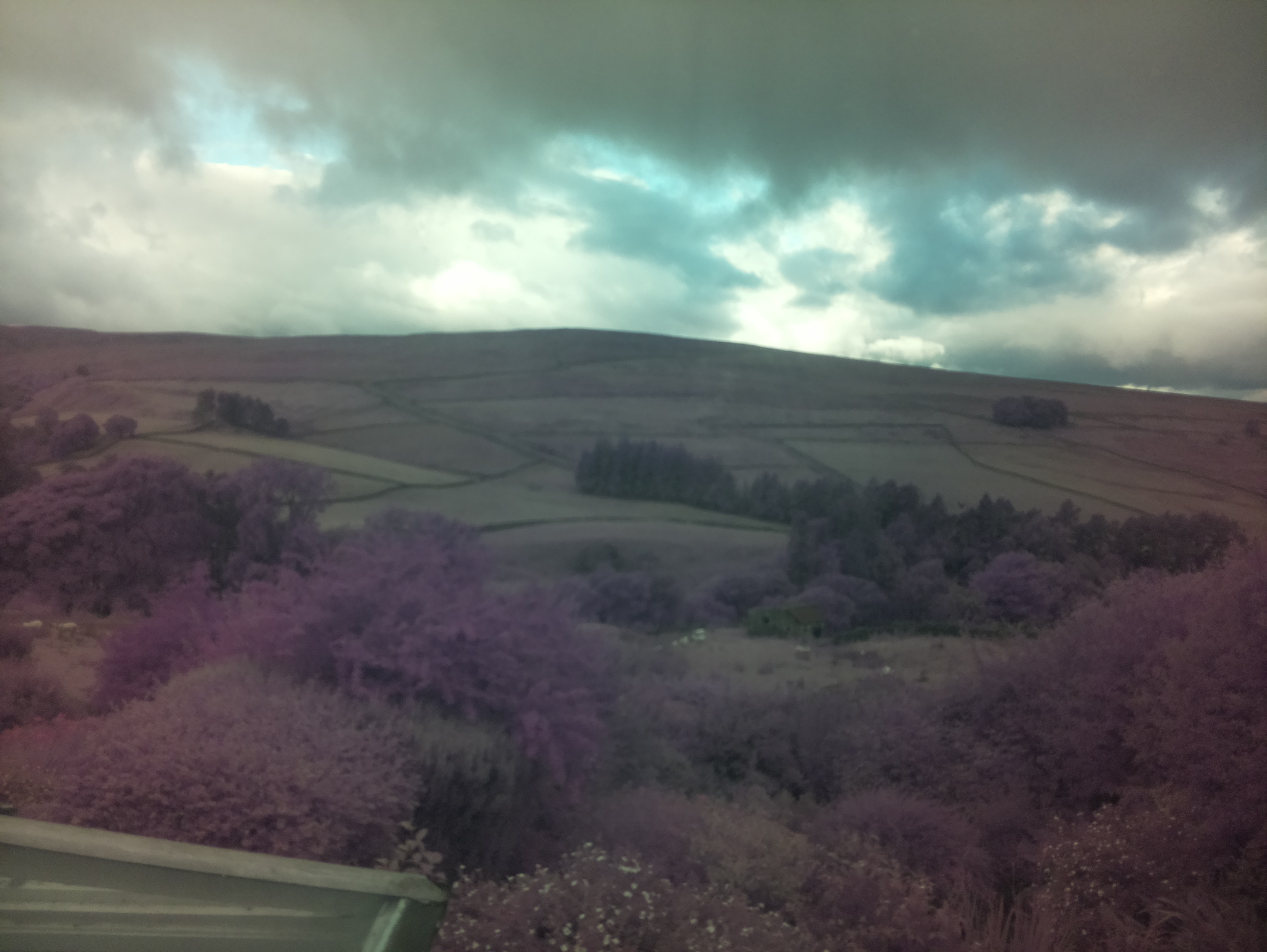 raspi webcam photo