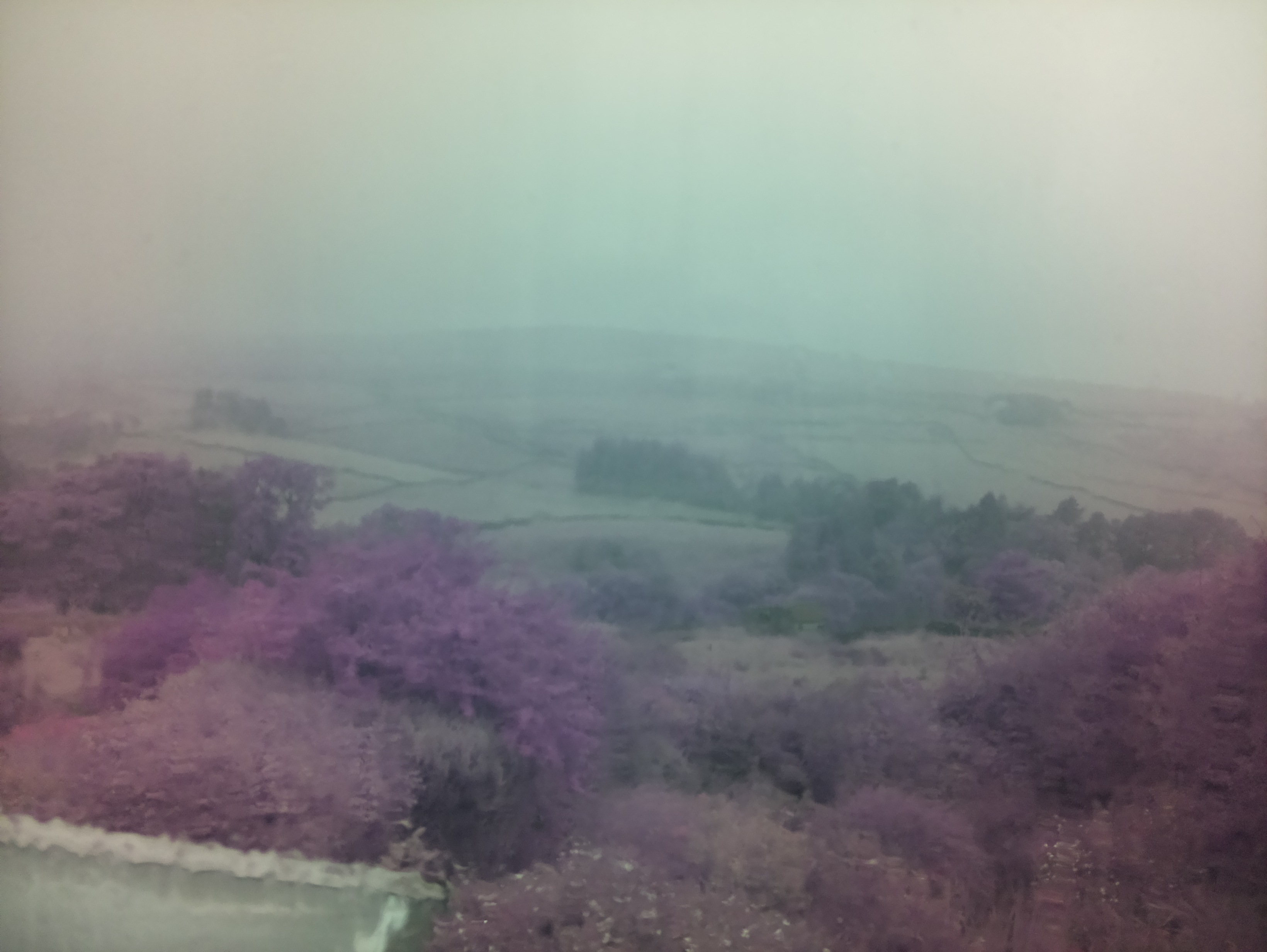 raspi webcam photo