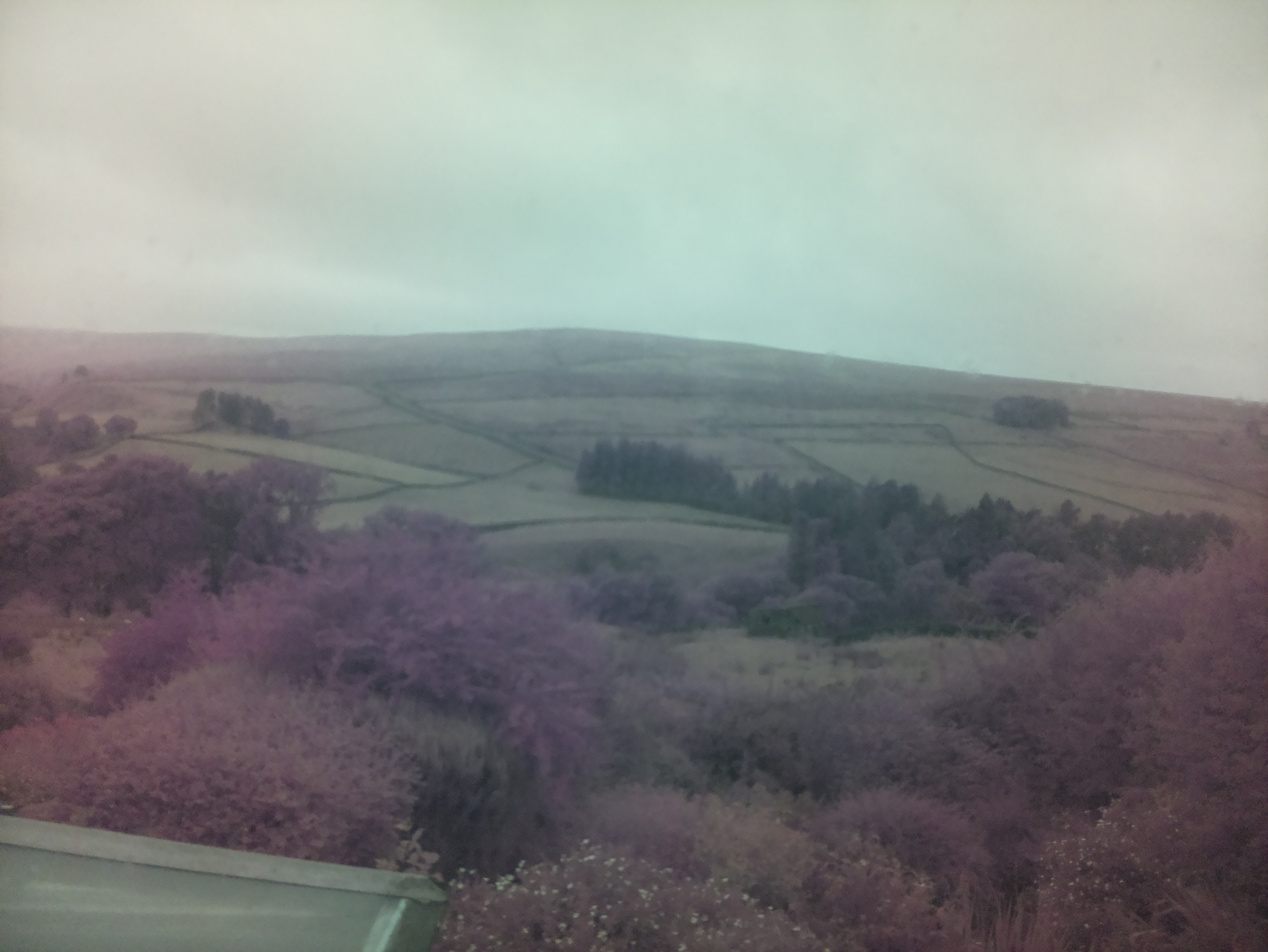 raspi webcam photo