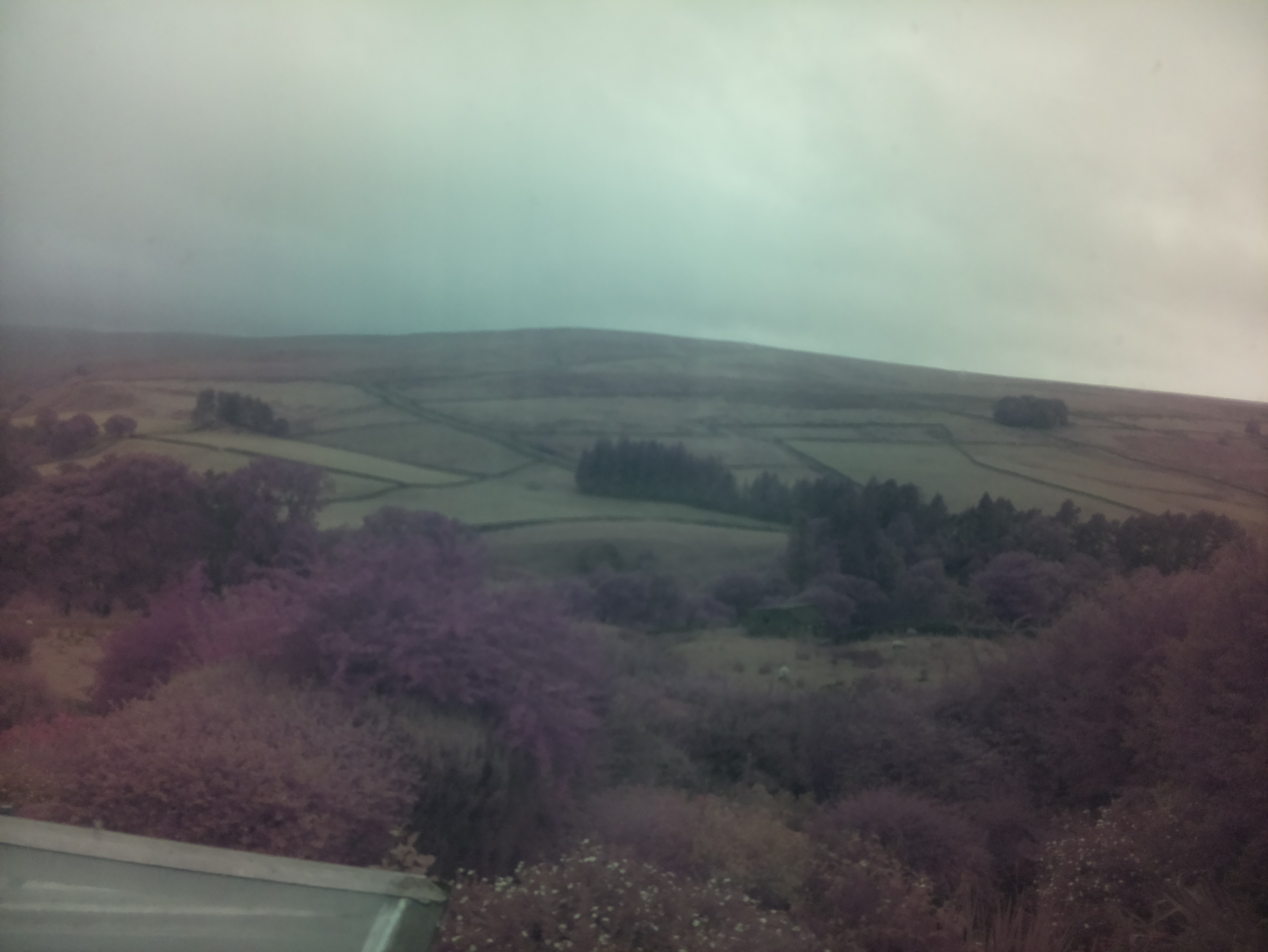 raspi webcam photo